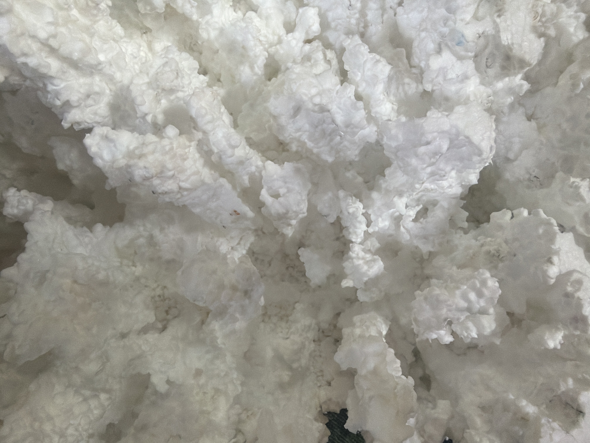 The image presents a close-up, high-angle view of a dense, voluminous mass of white, fluffy material, completely filling the frame. The material is characterized by its soft, irregular clumps and interwoven strands, strongly resembling textile fibers such as raw cotton, synthetic stuffing, or batting.
The texture is highly detailed and three-dimensional, with deep shadows and bright highlights accentuating the numerous folds, crevices, and soft undulations within the mass. While predominantly white, subtle variations in light and shadow, along with minor specks of dark material and very faint hints of a light bluish hue in some areas, create a nuanced color palette of whites and light greys. These slight discolorations or impurities might suggest the material is raw, recycled, or in an industrial processing stage.
No specific activity or event is depicted, as the image is a static portrayal of the material itself. There are no people, distinct objects beyond the fibers, or visible text. The setting appears to be an interior space, likely an industrial or storage environment, though no architectural features or broader context are visible within the tight crop. The image focuses entirely on the abstract, cloud-like forms and intricate tactile quality of the fibrous substance.