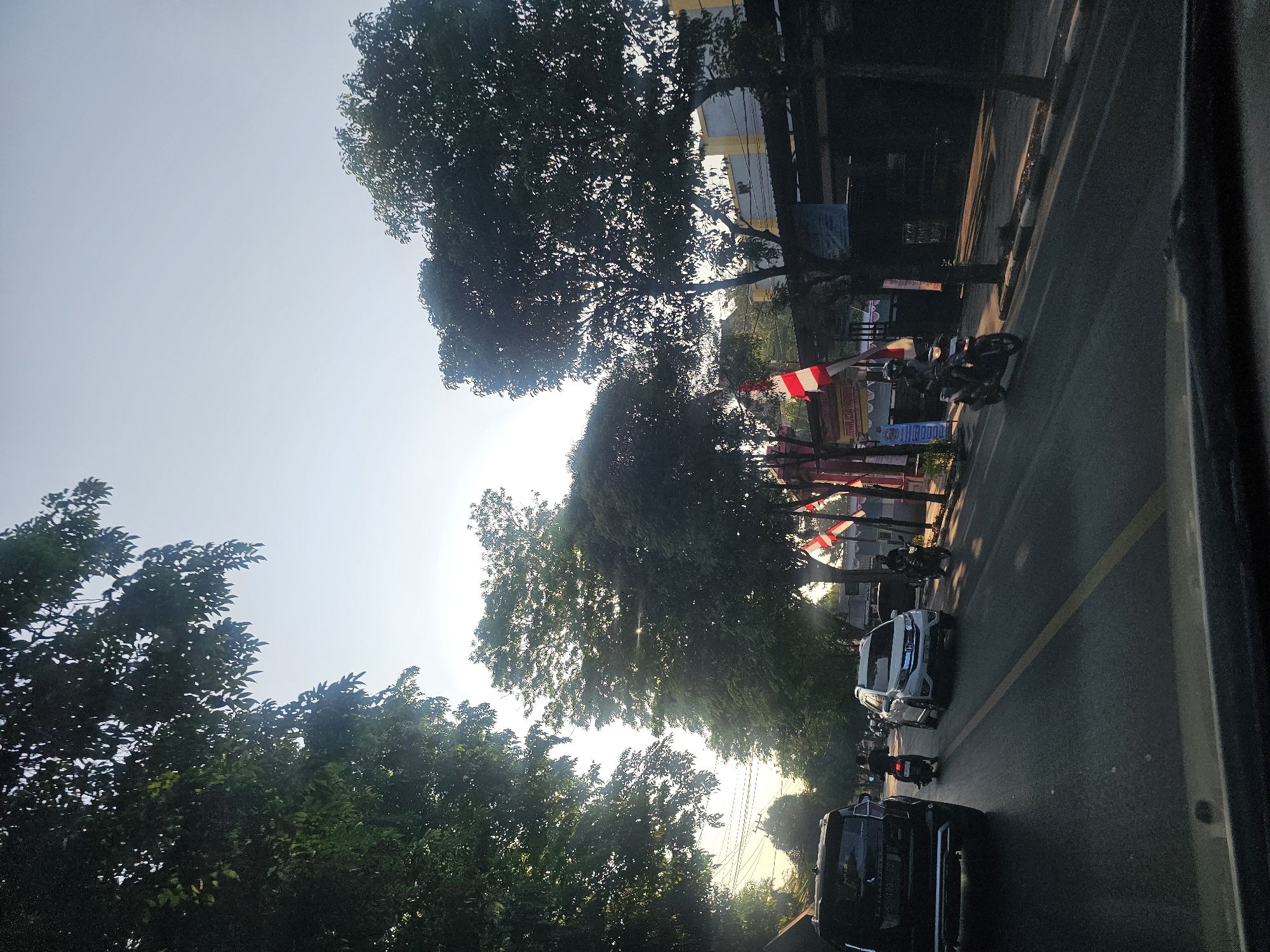 The image depicts a street scene in Tuban, Indonesia, likely captured during the late afternoon or early morning given the low angle of the sun and long shadows. Lush green trees line both sides of the asphalt road, their foliage partially obscuring the bright sky. Several vehicles are visible on the road. In the foreground on the left, a black SUV is parked or slowly moving. Further down the road, a white SUV is in motion, followed by a motorcyclist. On the right side of the road, another motorcyclist is visible, and Indonesian flags, red and white, are mounted on poles along the sidewalk, suggesting a national holiday or celebration. Buildings with dark awnings are present on the right, partially hidden by trees. The overall atmosphere is one of a typical urban environment with natural elements.