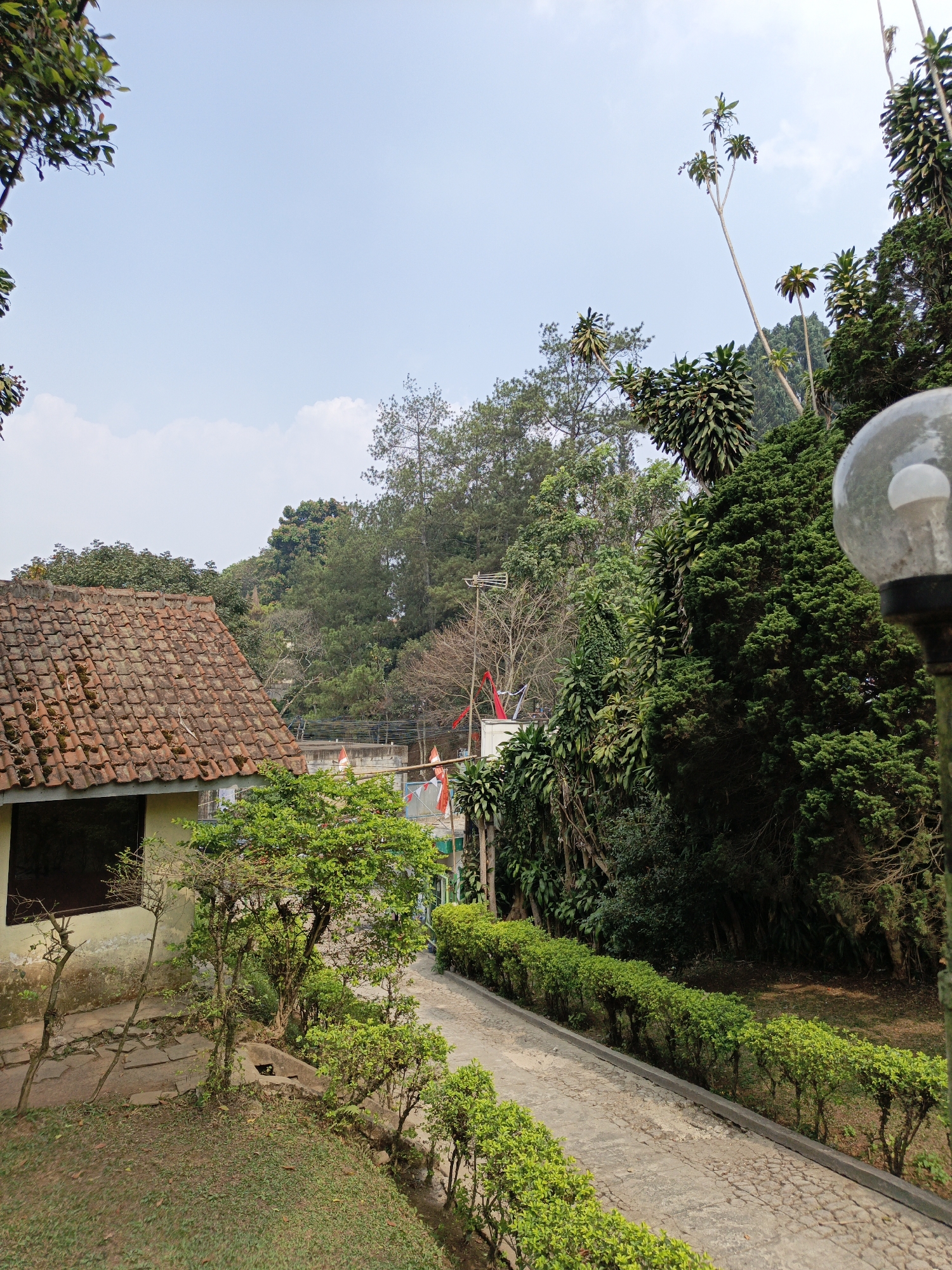 This image depicts an outdoor scene with a clear sky and lush greenery, likely situated in Cibogo, Indonesia. On the left, a building with a tiled roof and a light-colored wall is visible. Adjacent to the building is a pathway made of cobblestones, bordered by a neatly trimmed hedge. Beyond the hedge, a dense forest with various types of trees stretches into the background. In the foreground, to the right, a street lamp with a transparent globe is partially visible. Several red and white flags are also present, suggesting a festive occasion or national holiday. The overall impression is one of a serene, natural environment with a touch of human presence.