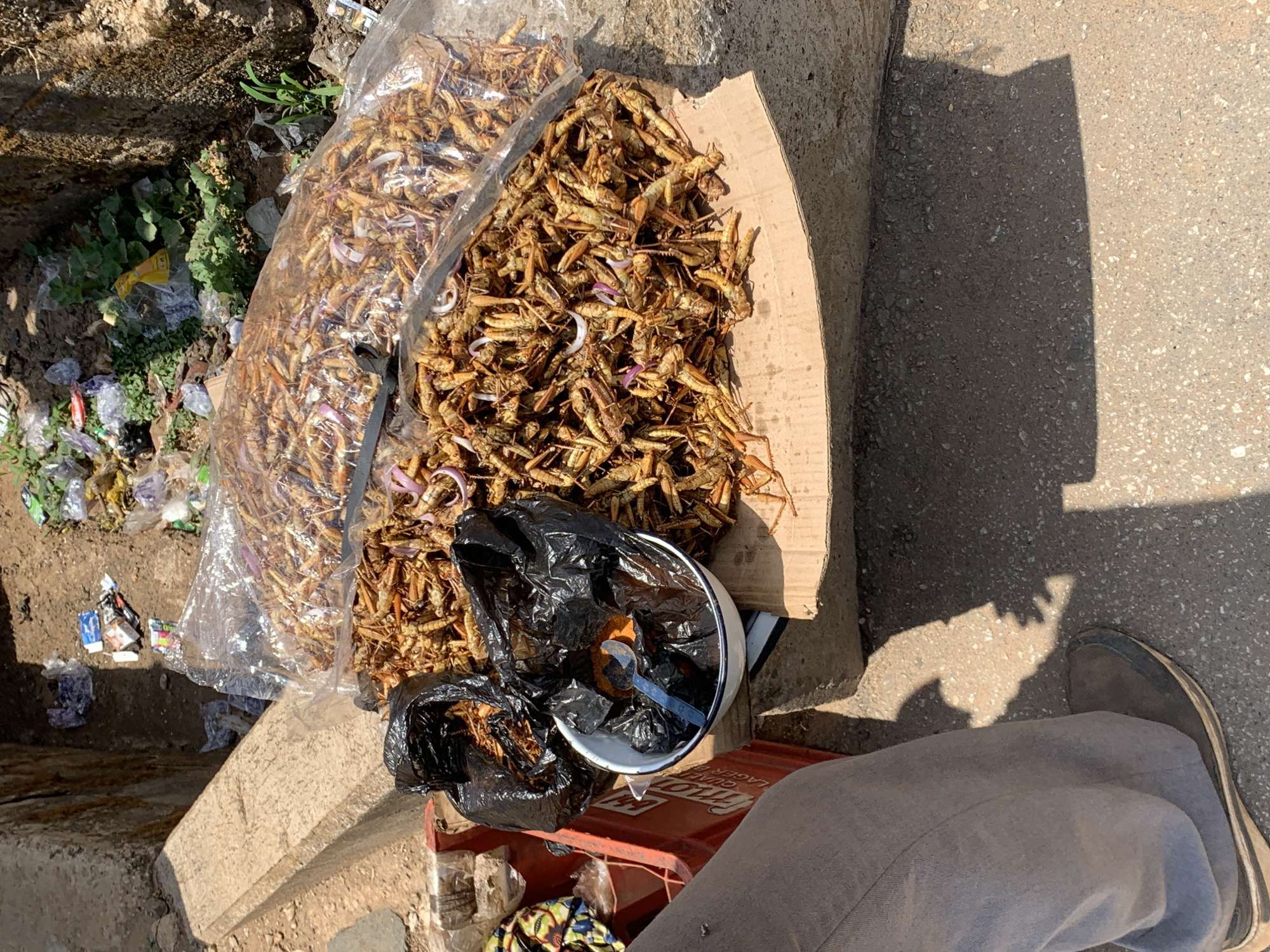 The image shows a street food vendor in Jos, Nigeria, selling fried grasshoppers. The grasshoppers are piled on a piece of cardboard and in a clear plastic bag. Some are also in a black plastic bag next to a white bowl containing a spoon. The vendor is sitting on a red crate. A person is visible in the bottom right of the image, wearing grey pants and a black shoe. The ground next to the vendor is littered with trash and some green foliage. The background shows a paved road.