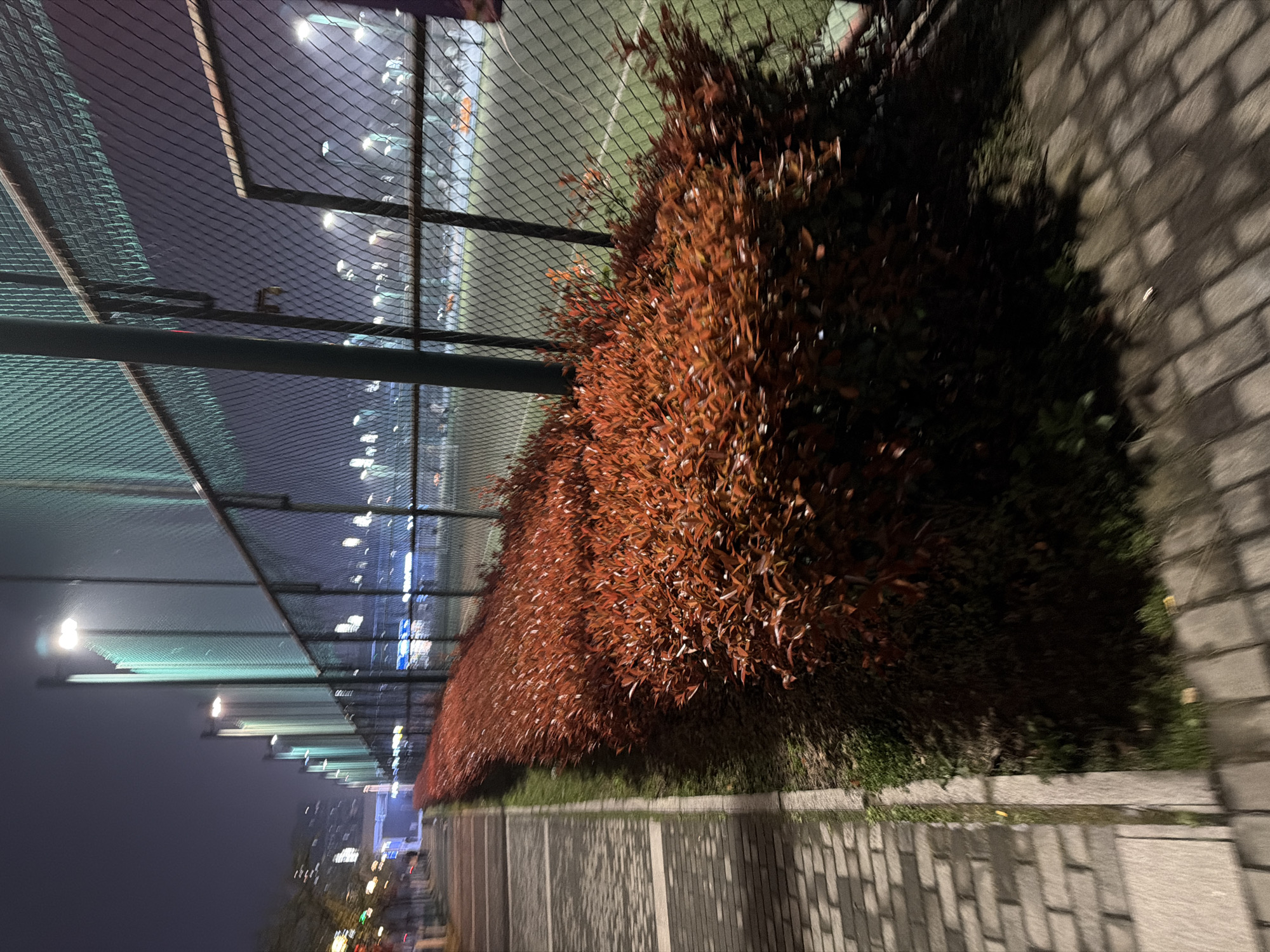 The image depicts a scene at night in what appears to be Jiangning District, China. A chain-link fence runs along the left side of the image, behind which streetlights illuminate a city skyline in the distance. An orange shrub or hedge grows along the base of the fence. To the right of the shrub, a sidewalk paved with rectangular blocks runs alongside it. The image is taken from a low angle and has a slight blurring effect, possibly due to movement or low light conditions.