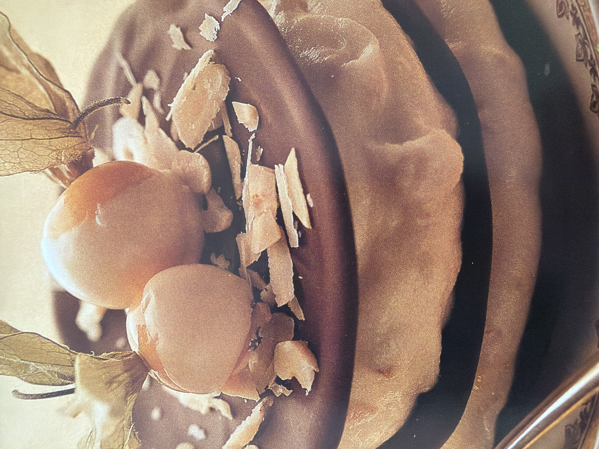 A close-up shot captures a layered dessert topped with physalis and slivered almonds. The dessert appears to be composed of at least three layers, possibly cake or pastry, with a dark chocolate ganache or frosting on the uppermost layer. Two whole, golden-orange physalis fruits, still partially enclosed in their papery husks, sit atop the chocolate layer. The husks are dried and have a translucent quality, revealing the delicate veins within. Scattered across the chocolate are numerous slivers of toasted almonds, adding texture and visual contrast. The lighting in the image is warm and soft, highlighting the rich brown tones of the chocolate and the golden hues of the physalis and cake layers. The background is a plain, warm beige, focusing all attention on the dessert. The bottom edge of the image shows a portion of an ornate plate or saucer with a decorative pattern in brown and gold.