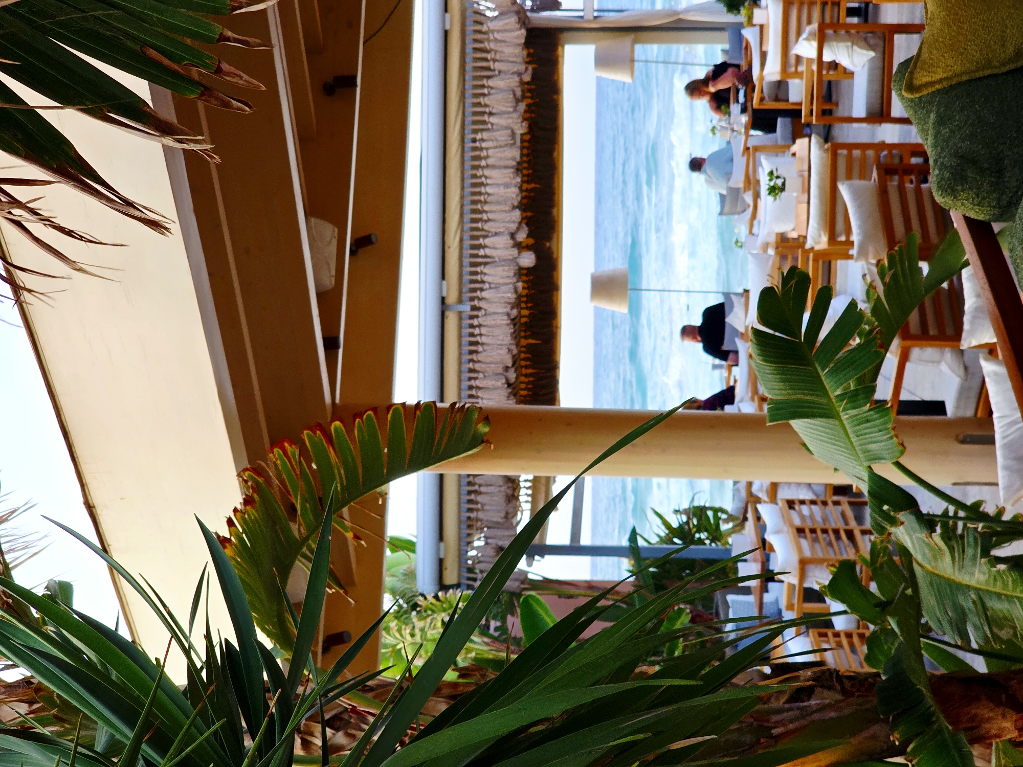 The image depicts an outdoor seating area of a restaurant or cafe, with a view of the sea. In the foreground, lush green palm fronds frame the scene. Beyond the foliage, the seating area features wooden chairs and tables with white cushions. Several patrons are seated at tables, some facing the sea, and others engaged in conversation. The sea is visible in the background, with waves gently rolling towards the shore. The overall ambiance suggests a relaxed, tropical dining experience. The location is confirmed to be in Malia Municipal Unit, Greece.
