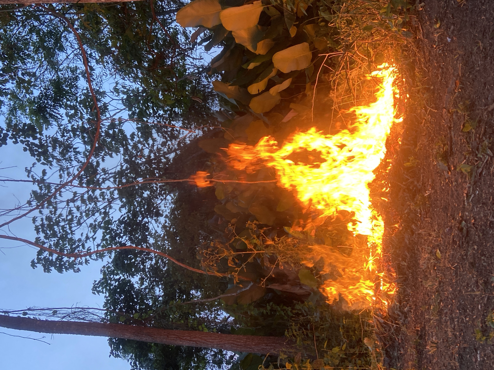 The image depicts a fire burning along the edge of a vegetated area, likely in a rural or semi-rural setting. Trees and bushes are visible to the left and behind the flames, with a section of clear sky visible through the branches. The ground to the right of the fire is covered in vegetation and soil. The fire is intense, with bright yellow and orange flames. The image suggests a possible uncontrolled burn situation. The location is Los Velásquez, Venezuela.