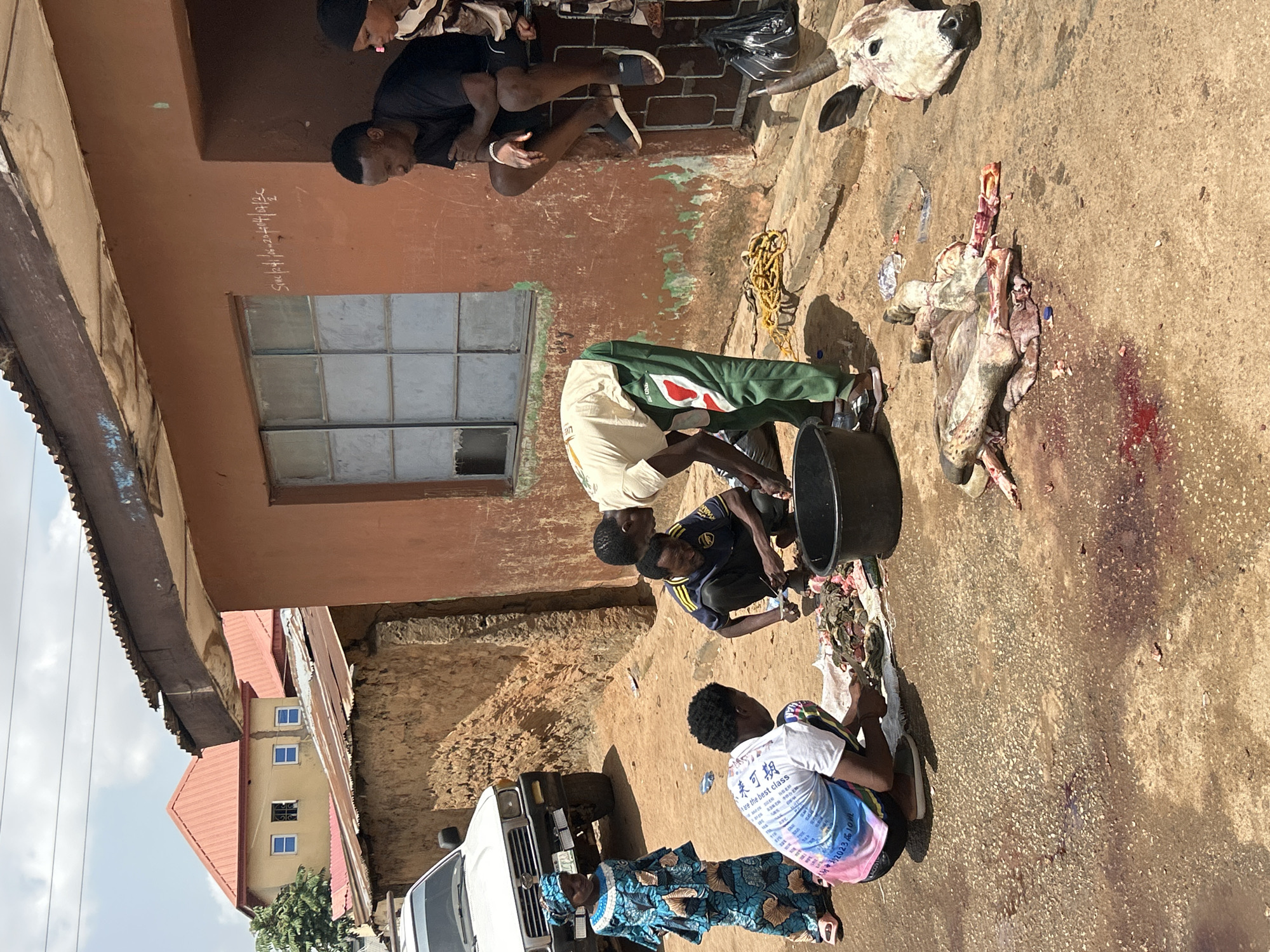 The image depicts a street scene in Jos, Nigeria, where several people are butchering a cow. A cow's head and carcass lie on the ground, surrounded by blood. Four men are involved in the process: one is sitting and observing, one is bent over the carcass, one is washing meat in a bucket, and one is holding meat. A woman in a blue patterned outfit is squatting nearby. A white truck is parked in the background. The environment includes a building with a window, a corrugated metal roof, and a dirt street.