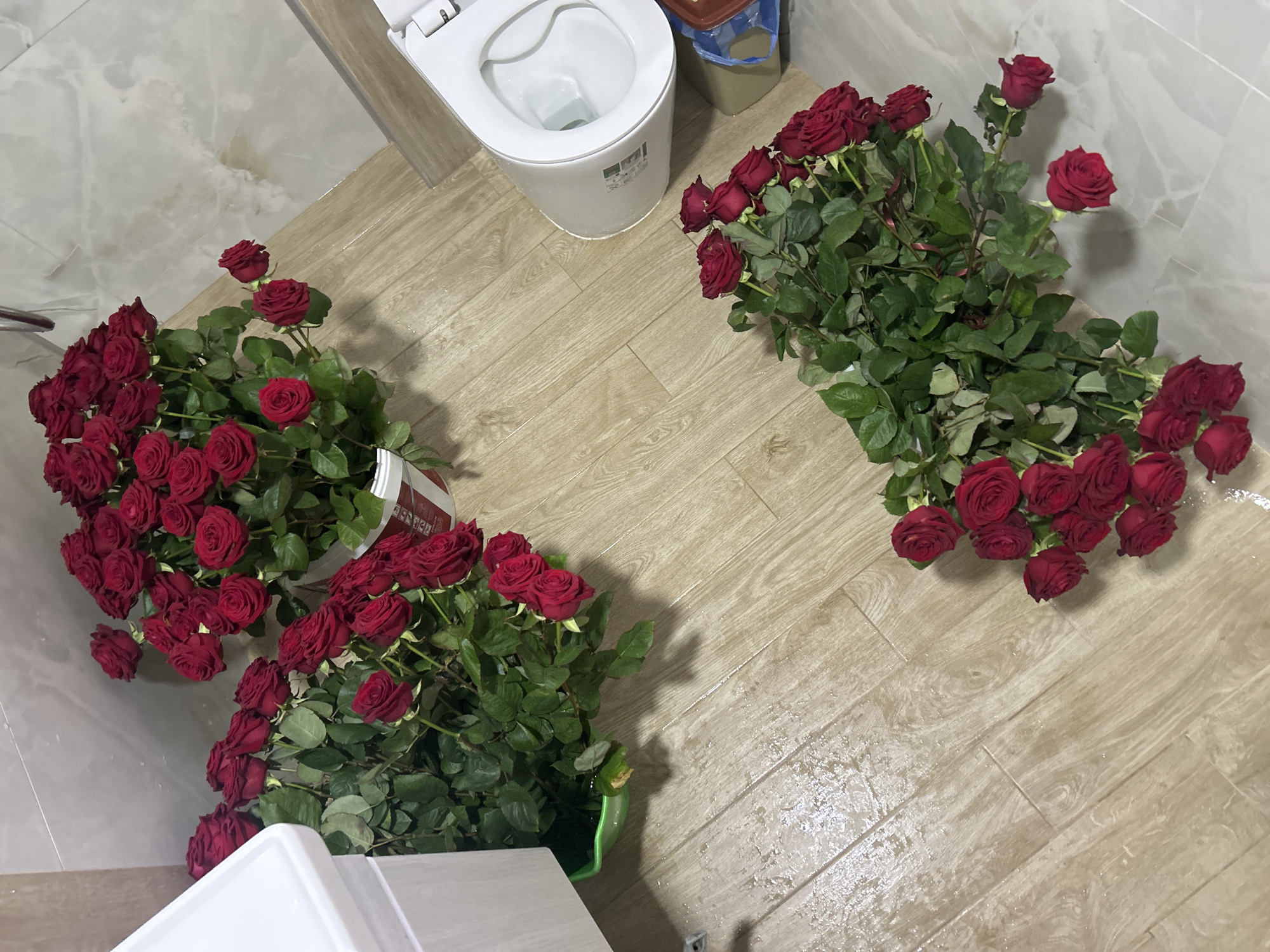 The image presents an overhead view of an indoor space, likely a bathroom or utility room in Zlatograd, Bulgaria, filled with a considerable quantity of deep red roses.
**Subjects:** No people are visible in the image. The primary subjects are numerous bunches of vibrant red roses with green stems and foliage.
**Objects:** A white toilet with its lid open is visible in the upper central part of the frame, adjacent to a small brown trash bin with a blue plastic bag. The roses are contained in several buckets or containers, two of which are partially visible: one in the bottom left with a red and white label, and another green bucket near the bottom center.
**Scene and Setting:** The room features a light-colored, wood-grain patterned tiled floor, which appears wet and reflective in several areas, suggesting recent water spillage or watering. The walls are also light-colored, likely tiled. The roses are arranged in large clusters across the floor: one substantial grouping in the upper right, another in the lower left, and a third in the lower central area.
**Activity or Event:** There is no specific activity depicted in progress. The scene suggests a temporary storage or preparation area for a large volume of roses, possibly before an event or for transport. The wet floor indicates recent handling of the flowers.
**Notable Details:** The most striking detail is the sheer abundance of red roses, spread out across the floor. The setting appears functional rather than decorative, given the presence of the toilet and the wet floor. The time of day and weather are not discernible, as the scene is indoors under artificial lighting. Emotions cannot be directly inferred from the absence of people, though roses are often associated with sentiments of love or celebration.
**Visible Text:** Some indistinct characters or symbols are present on the side of the white toilet. A red and white label with blurred, undecipherable text is visible on the container holding roses in the bottom left quadrant.