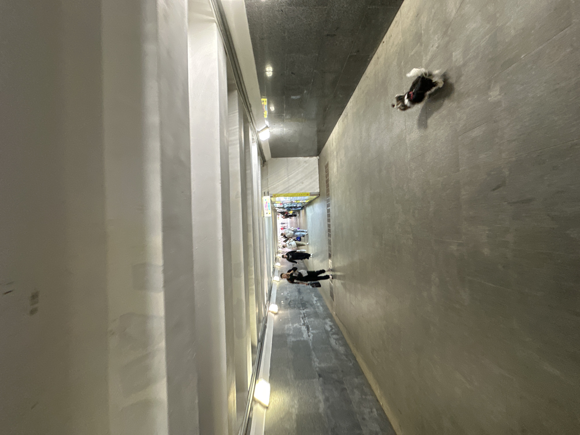 The image depicts a long, modern pedestrian tunnel or underground passage, likely in Moscow, captured with a 90-degree counter-clockwise rotation. When viewed correctly, the passage features a distinctive architectural style.
On the left side, there is a prominent white wall composed of vertical ribbed panels or columns, creating a sense of depth and structure. The right wall is a simpler, plain light grey, with a subtly textured surface. The ceiling is dark grey or black, possibly made of polished stone or concrete, and features several embedded rectangular light fixtures that cast reflections onto the floor. The floor itself is a dark grey, appearing to be concrete or large tiles, also reflecting the overhead lights.
Several individuals are present in the passage, primarily walking towards the background. They are dressed in casual attire, some carrying bags. Near the foreground on the right side of the passage, a small, fluffy dog with black and white fur is visible on the floor. Its posture suggests it is either walking briskly or playfully. Further down the passage, other people can be seen, with one individual appearing to bend down, possibly interacting with the dog or another object on the floor.
The lighting is entirely artificial, emanating from the ceiling and possibly from fixtures along the base of the left wall, illuminating the passage evenly. The time of day is not discernible due to the indoor, artificial environment. In the distance, at the end of the visible passage, there are several signs with text, which appears to be in Cyrillic, but it is too blurry to be legible. The scene conveys a sense of a busy urban thoroughfare.