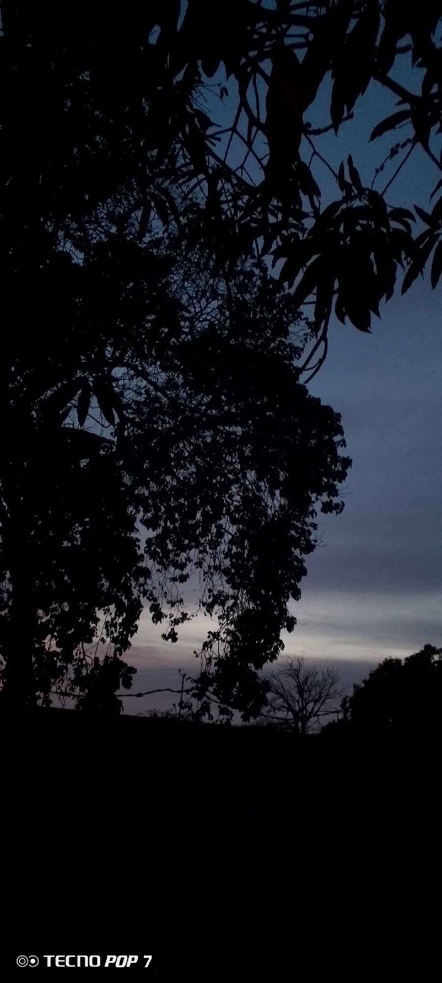 The image shows a silhouetted view of trees against a twilight sky, likely taken in Altagracia, Venezuela. The trees in the foreground are in complete shadow, with branches and leaves sharply outlined. In the background, there is a hint of a sunset or sunrise with subtle color gradients in the sky. A telephone line can be seen, and another tree stands bare in the center. The image was taken using a Tecno Pop 7 phone, as indicated by the watermark at the bottom left corner. The scene appears quiet, capturing a moment of natural beauty at dawn or dusk.