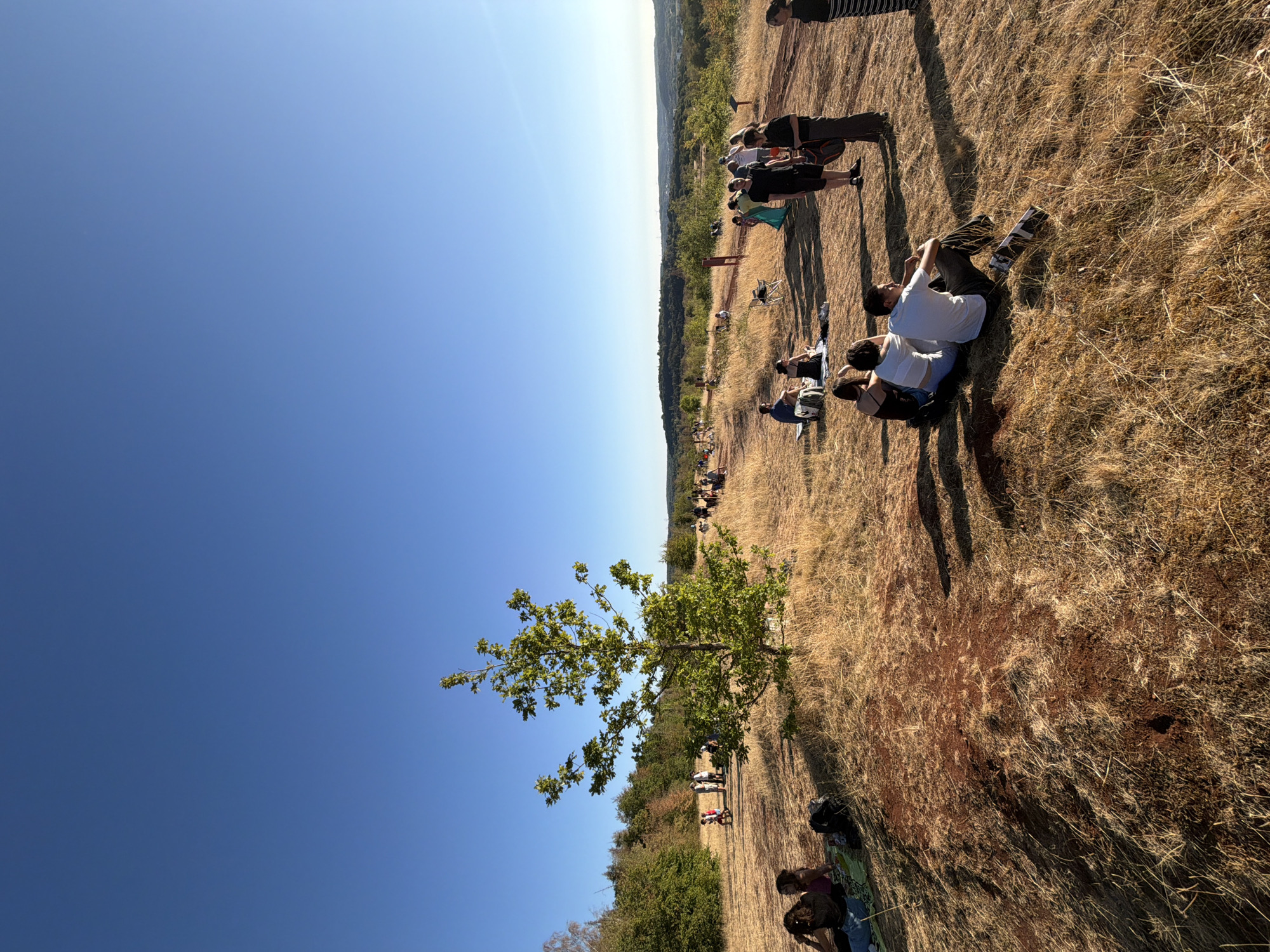 The image depicts a sunny outdoor gathering on a dry, grassy hillside with scattered red-brown soil patches. A lone tree with green leaves stands prominently in the mid-left foreground. Several groups of people are spread across the landscape, some sitting on the ground, others standing and conversing. The background shows a line of trees and rolling hills under a clear blue sky. This scene is located at the "Fond-de-Gras" in the municipality of Lasauvage, near Schifflange, Luxembourg, which is known for its former mining activities and has been transformed into a recreational area with historical significance.