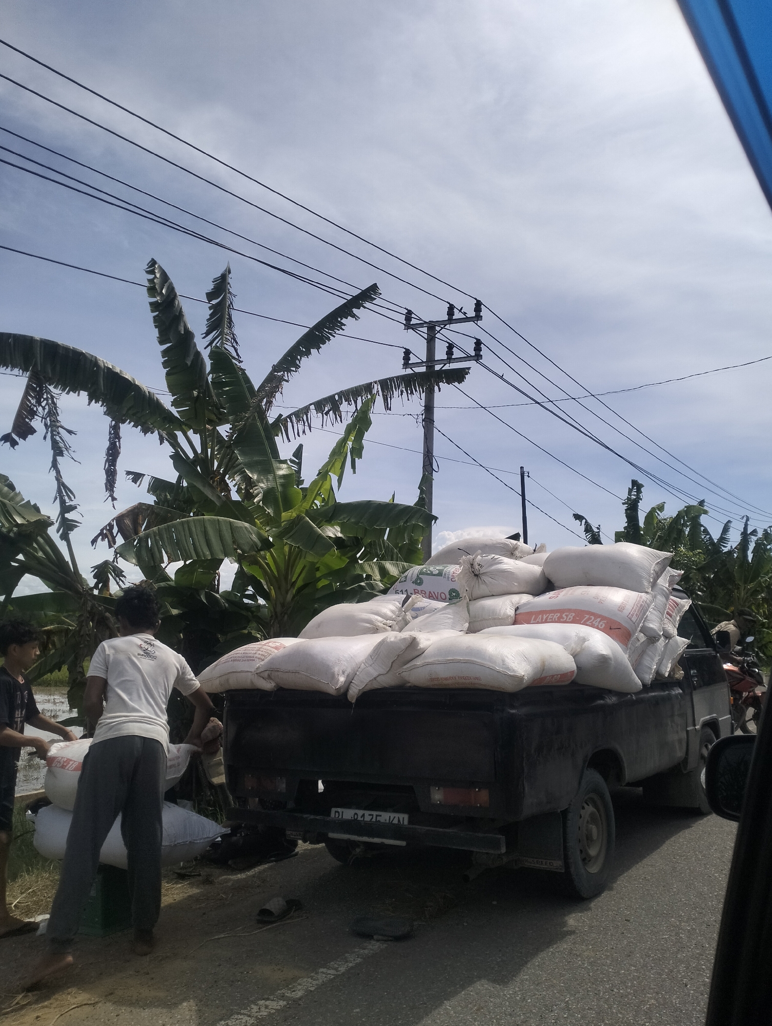 The image, taken in Cotentung, Indonesia, depicts a rural scene under a bright, cloudy sky. In the foreground, a black pickup truck is loaded with numerous white sacks, likely containing agricultural goods. Two young men are engaged in moving these sacks. One man, wearing a white t-shirt and grey pants, is actively handling a sack. Another young man, wearing a dark t-shirt, is assisting. The truck is parked on a paved road, with a grassy shoulder. In the background, lush banana trees are abundant, suggesting a tropical environment. Electrical poles and wires are visible above the trees, indicating the presence of infrastructure. The overall atmosphere is one of outdoor labor and daily life in a semi-rural Indonesian setting.