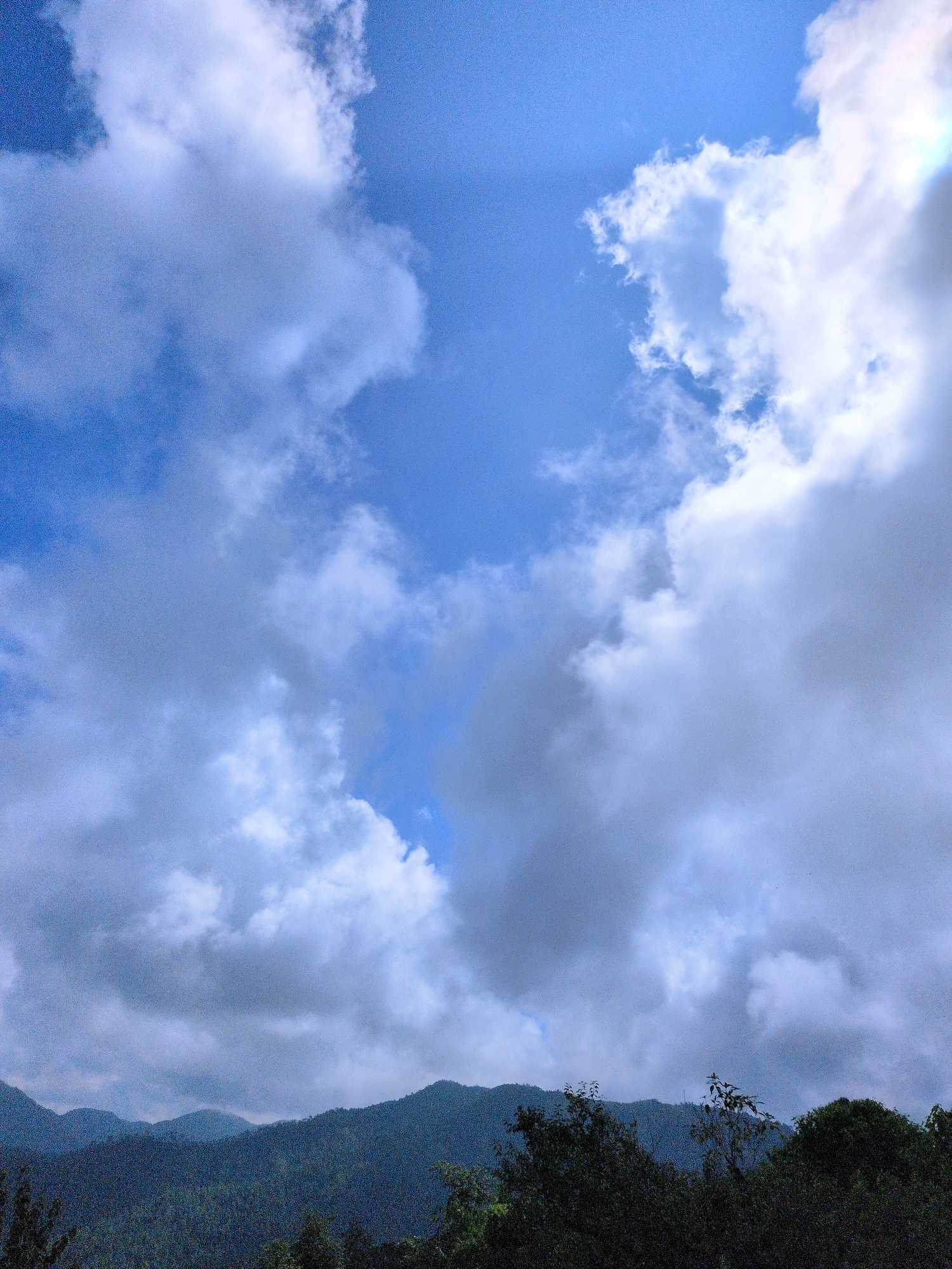 A wide-angle, low-angle shot captures a dynamic sky above a mountainous landscape. The sky is dominated by a mix of bright white and dark gray clouds, with patches of vivid blue sky peeking through. The clouds are varied in texture and form, with some appearing fluffy and scattered, while others are denser and more ominous. Below the sky, a series of rolling green mountains stretch across the horizon. The mountains are covered in dense vegetation, appearing dark and shadowy in contrast to the bright sky. In the foreground, the dark silhouettes of trees are visible, their branches reaching upwards towards the sky. The overall scene suggests a dramatic and natural environment. The location is Kapurkot, Nepal.