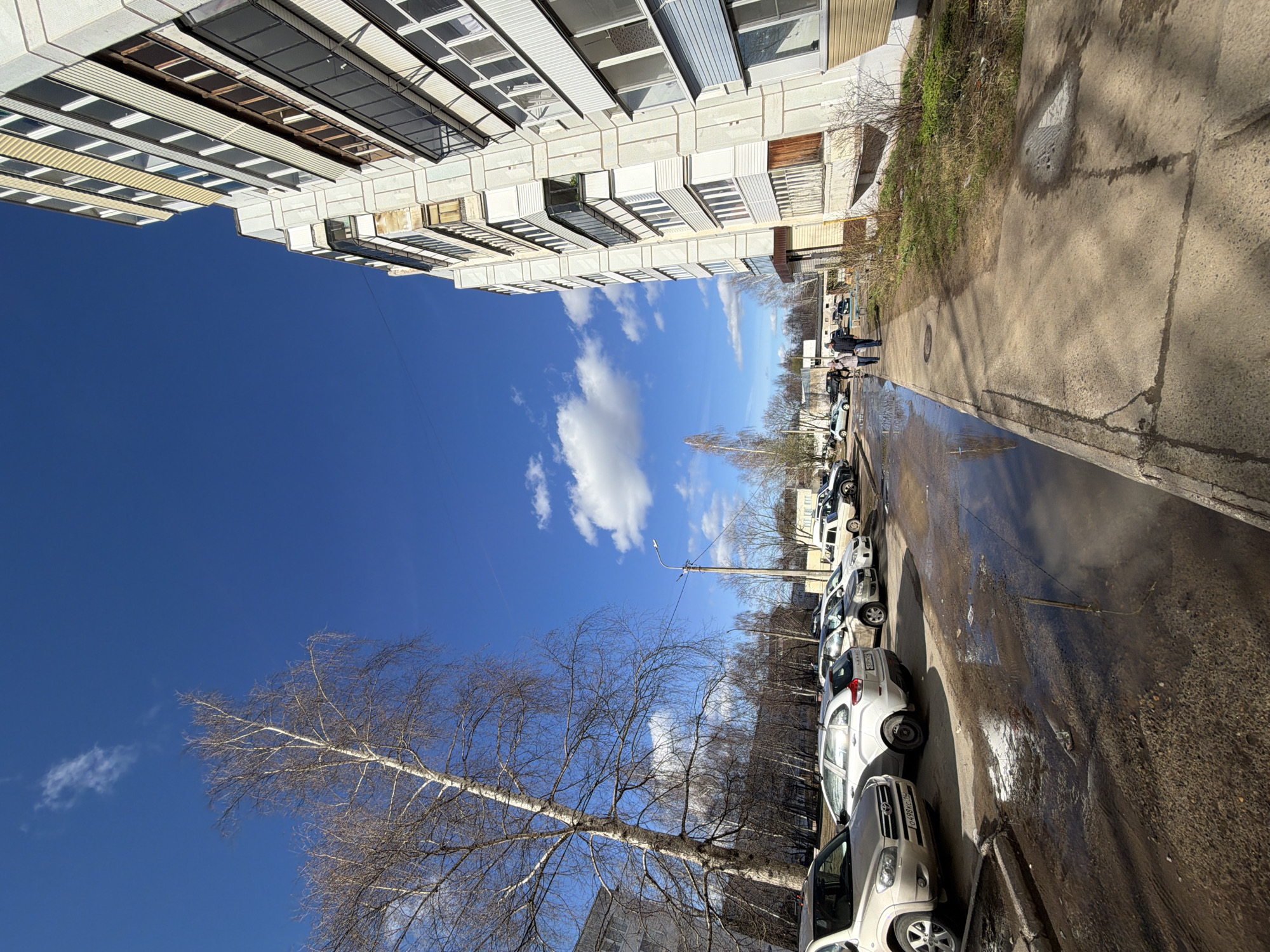 A street view in Chaikovsky, Russia features a line of parked cars along a curb that reflects the clear blue sky and scattered clouds. A tall apartment building with rows of windows flanks the street. Two pedestrians walk on the sidewalk. A bare birch tree stands prominently in the foreground, its branches reaching up towards the sky. The pavement shows signs of moisture or recent rain.