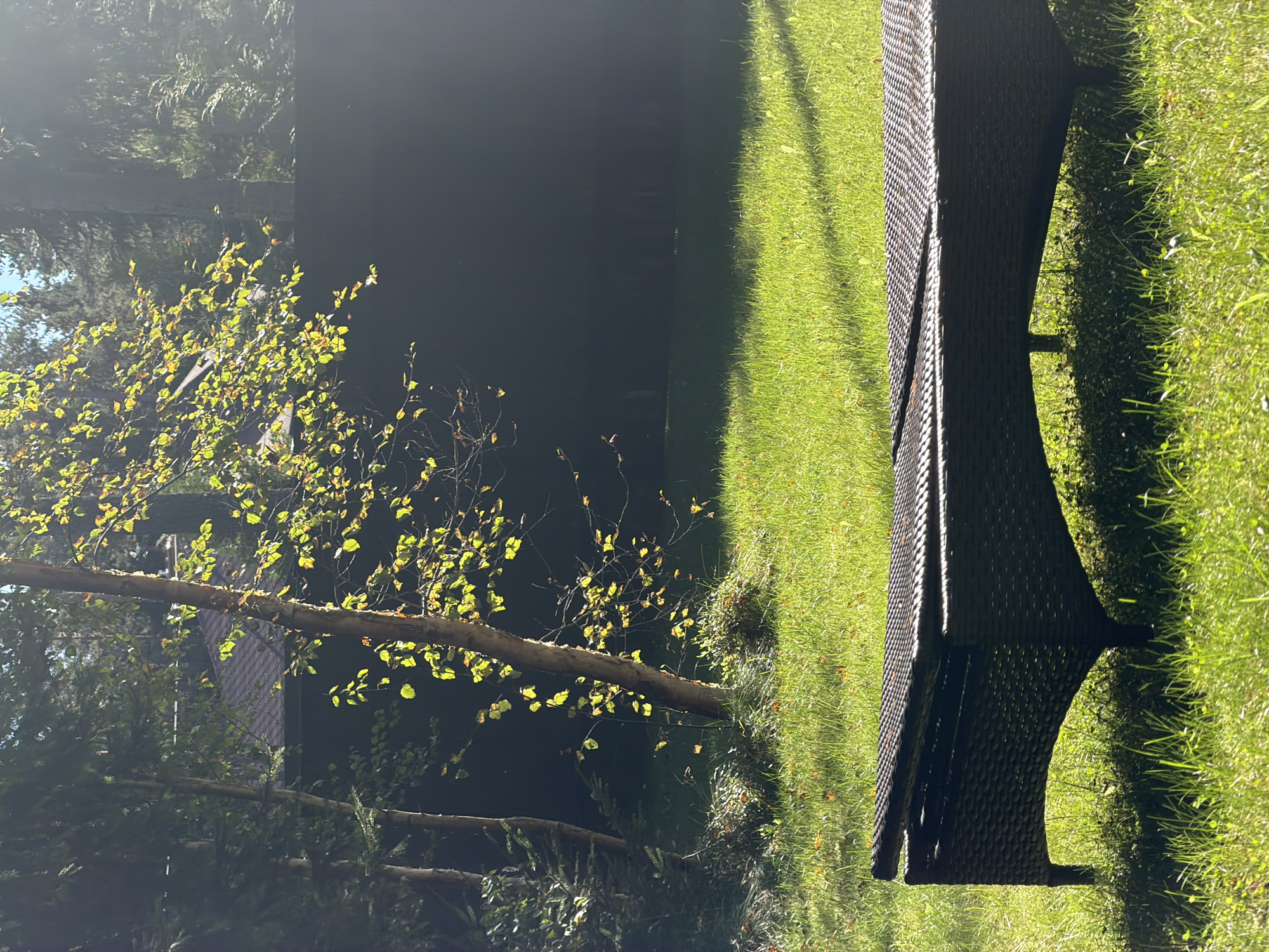 The image depicts a sunlit backyard with a dark, wicker-style chaise lounge positioned on a vibrant green lawn. To the left, several trees, including a slender birch with yellowing leaves, are visible. In the background, a dark fence and the dark, sloped roof of a house can be seen through the foliage. The scene suggests a tranquil outdoor setting, possibly in the city of Leninskoye, Russia, during a period of autumn foliage.