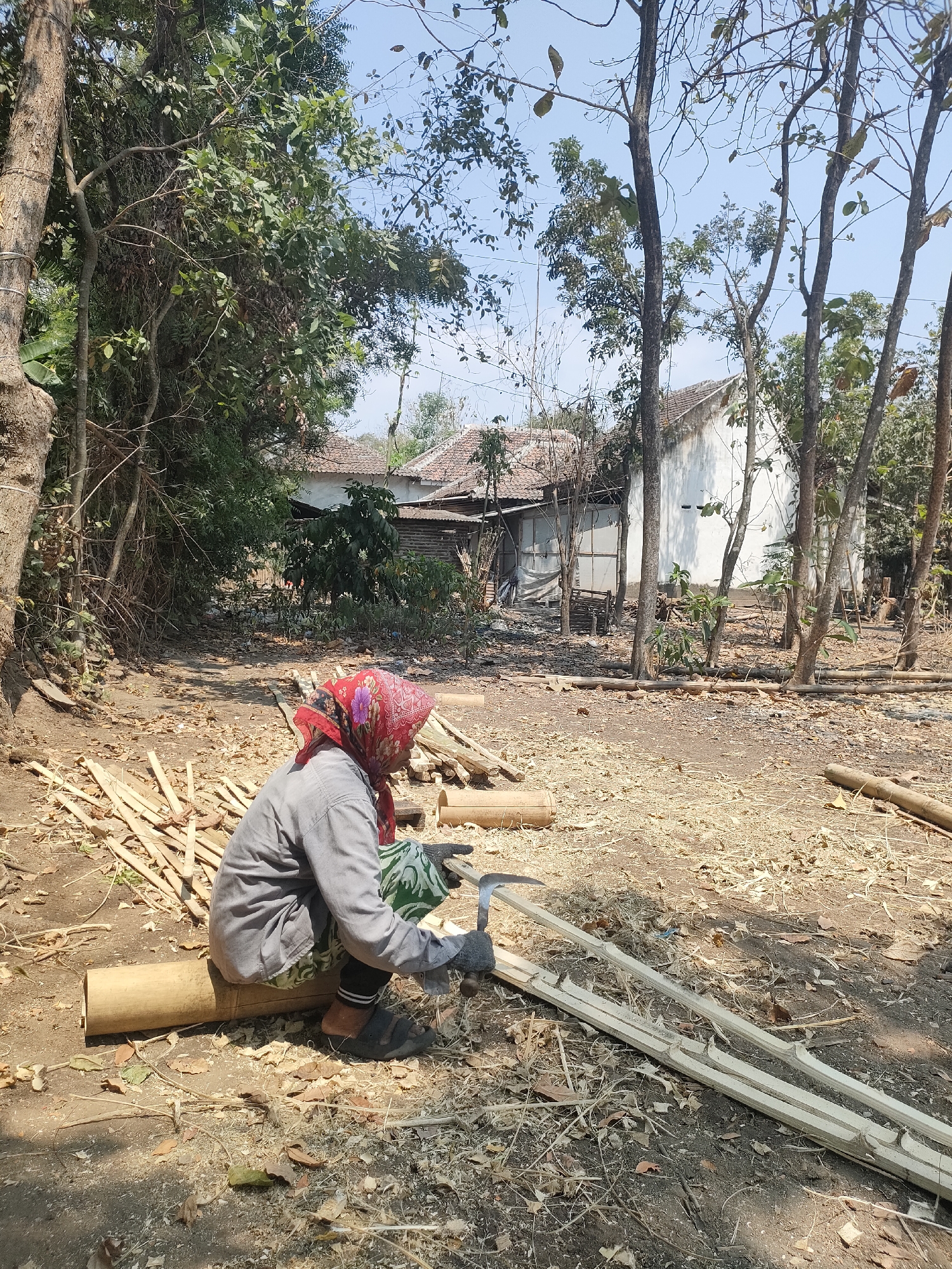In Tongaswetan, Indonesia, a woman, partially visible from the side and from behind, is seated on a section of bamboo outdoors. She is wearing a red headscarf with a floral pattern, a grey long-sleeved shirt, and green and white patterned trousers, along with dark sandals. The woman is actively engaged in processing bamboo. In her gloved hands, she holds a curved tool, possibly a sickle or scythe, which she is using to cut or shape bamboo poles. Several processed bamboo pieces, showing notches or cuts, lie in front of her. A pile of unprocessed bamboo stalks is visible to her left. The ground around her is covered in dry leaves, dirt, and wood shavings, suggesting a woodworking or craft area. In the background, a simple dwelling with a tiled roof and white walls is visible, surrounded by trees with sparse foliage and other vegetation. The sky is clear and blue.