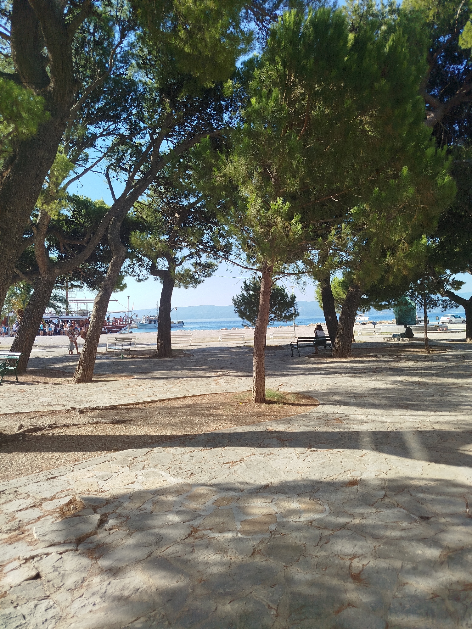 This image depicts a scenic view of a park adjacent to a beach, likely in a coastal city. Tall, mature pine trees with dense green foliage dominate the foreground, their branches casting dappled shadows on a stone-paved pathway and sandy ground below. In the middle ground, a paved area transitions to a sandy beach, where several white benches are visible. Beyond the beach, the calm blue sea stretches to the horizon, with distant hills or mountains forming a backdrop. Several boats, including a larger passenger vessel and a smaller motorboat, are anchored or cruising on the water. People are scattered throughout the scene, some walking along the beach, others seated on benches. One person is seen sitting on a bench in the shade of a tree, facing the water. The sky is a clear, bright blue. The overall impression is one of a tranquil, public outdoor space with a blend of natural and recreational elements.