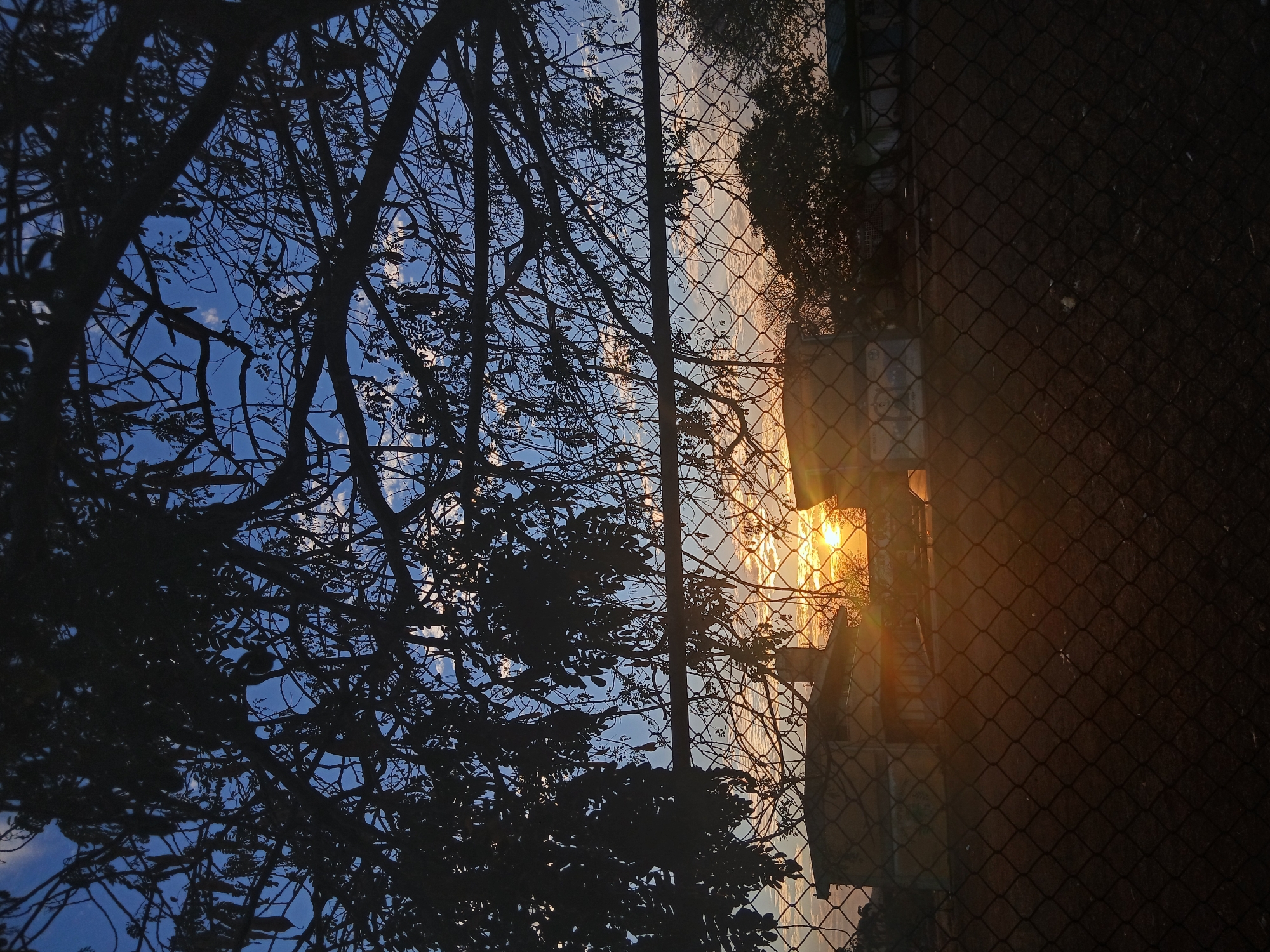 A low-angle shot captures a scene in Juan Griego, Venezuela. On the left, the silhouettes of tree branches and leaves fill the frame, contrasted against a backdrop of blue sky with scattered white clouds. To the right, a wire mesh fence is partially visible, obscuring a wall of a building behind it. The sun shines through the fence, causing a lens flare effect. No people are present in the image.
