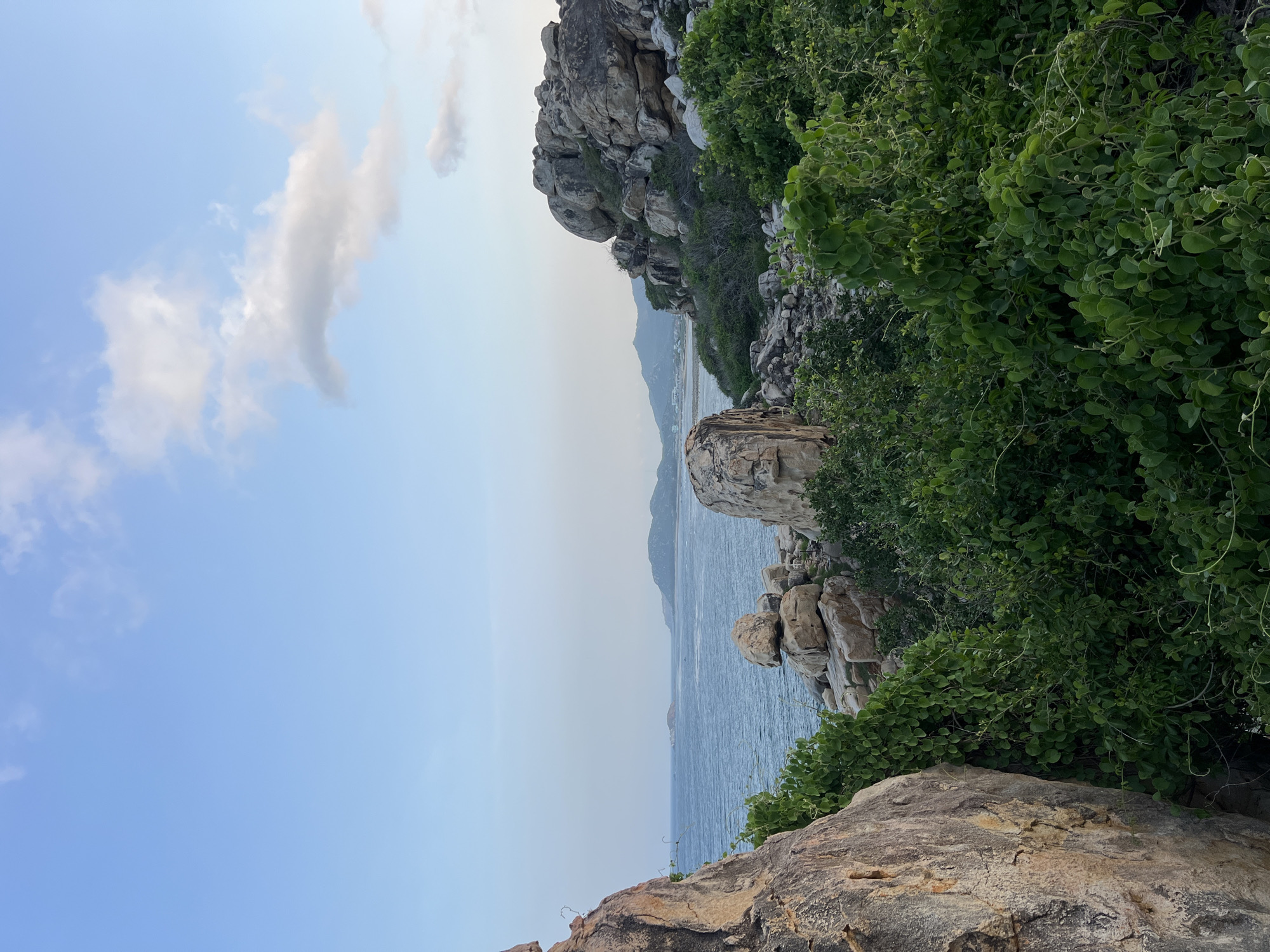 The image depicts a coastal landscape in Vĩnh Hải, Vietnam. The sky in the upper portion is light blue with several scattered white cumulus clouds, primarily situated on the right side. A defined horizon line separates the sky from a body of calm blue water, which occupies the central midground. In the distance across the sea, a small, low-lying island is visible towards the left. Further along the far horizon, a long, low mountain range is present, with faint outlines of structures discernible along its base. The foreground and midground are heavily textured with numerous large, irregularly shaped boulders and rock formations, displaying varying shades of brown and grey. Dense green foliage, consisting of shrubs and vines, covers the ground and intertwines amongst these rock formations. No human figures or animals are visible within the scene. The natural daylight suggests either morning or late afternoon conditions.