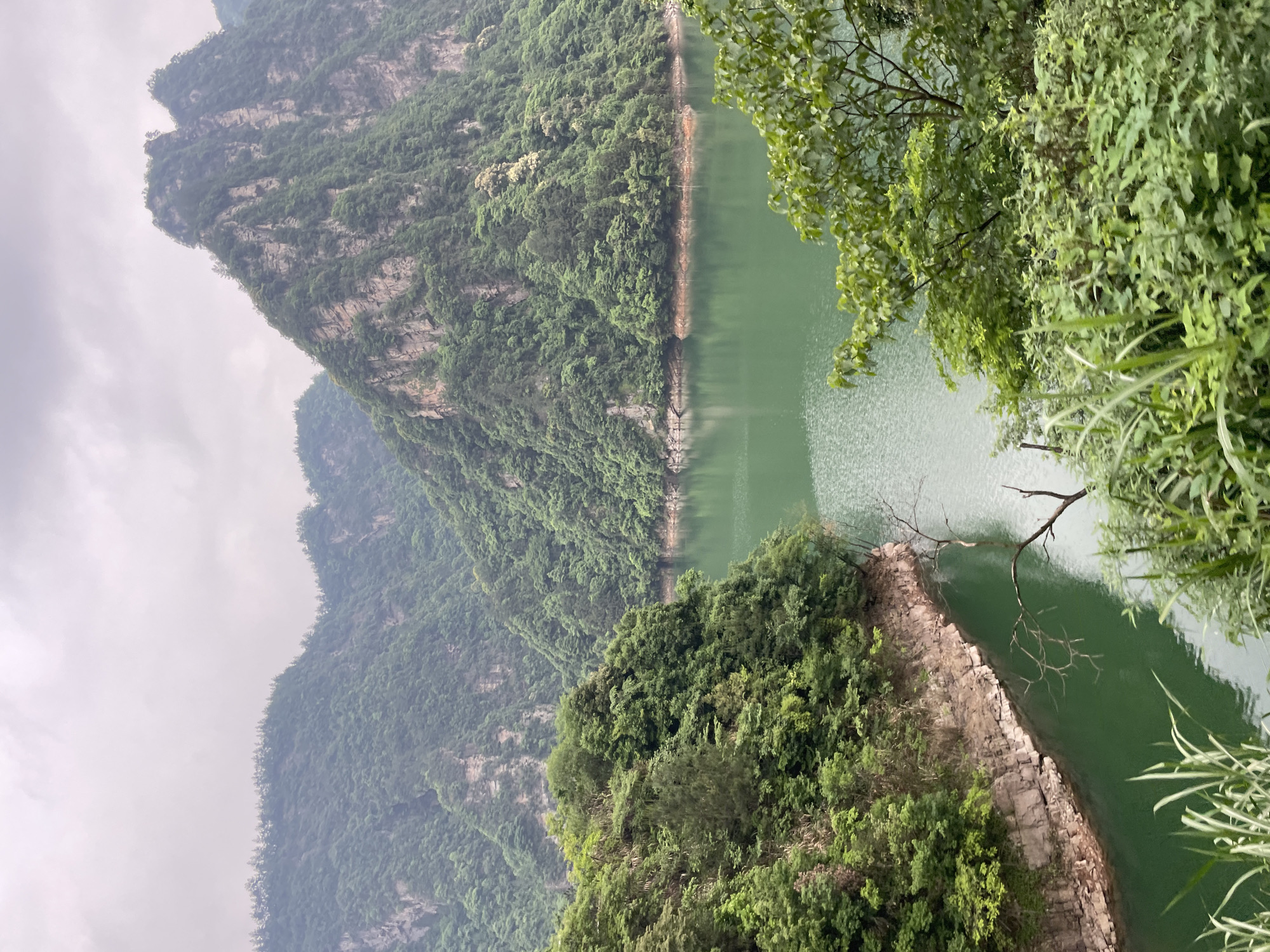 This landscape photograph captures a scene in Wulingyuan, China. The foreground features a lush, green islet jutting into a body of water, its rocky edge densely covered with vegetation. This islet is partially framed by foliage in the upper right. The water's surface is a muted green, reflecting the surrounding environment. Beyond the islet, towering, verdant mountains dominate the backdrop, disappearing into a hazy, overcast sky. The composition suggests a high vantage point, offering a panoramic view of the natural terrain.