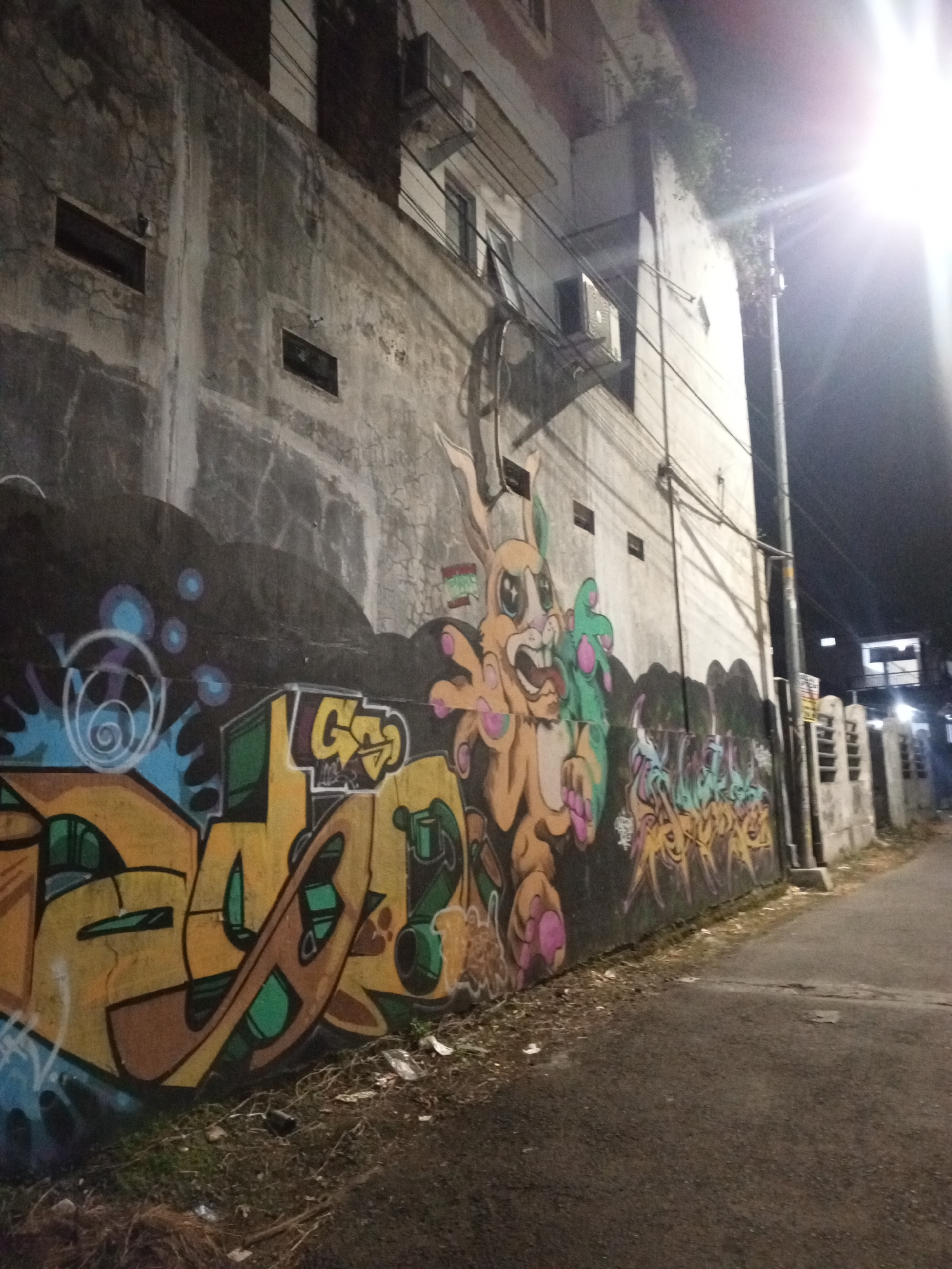 This is a nighttime, medium-angle, full shot of a graffiti-covered wall on a narrow street in Jember, Indonesia. The wall is part of a building with an upper floor, featuring windows and air conditioning units. The graffiti is vibrant and detailed, with a large cartoonish rabbit figure dominating the left side, holding a green object. To the right of the rabbit are more stylized graffiti tags in yellow, green, and purple. The street is paved and dimly lit by a bright streetlight on the right side of the image, casting a strong glare and obscuring some details of the building on the far right. The ground along the wall is covered in dry grass and debris.