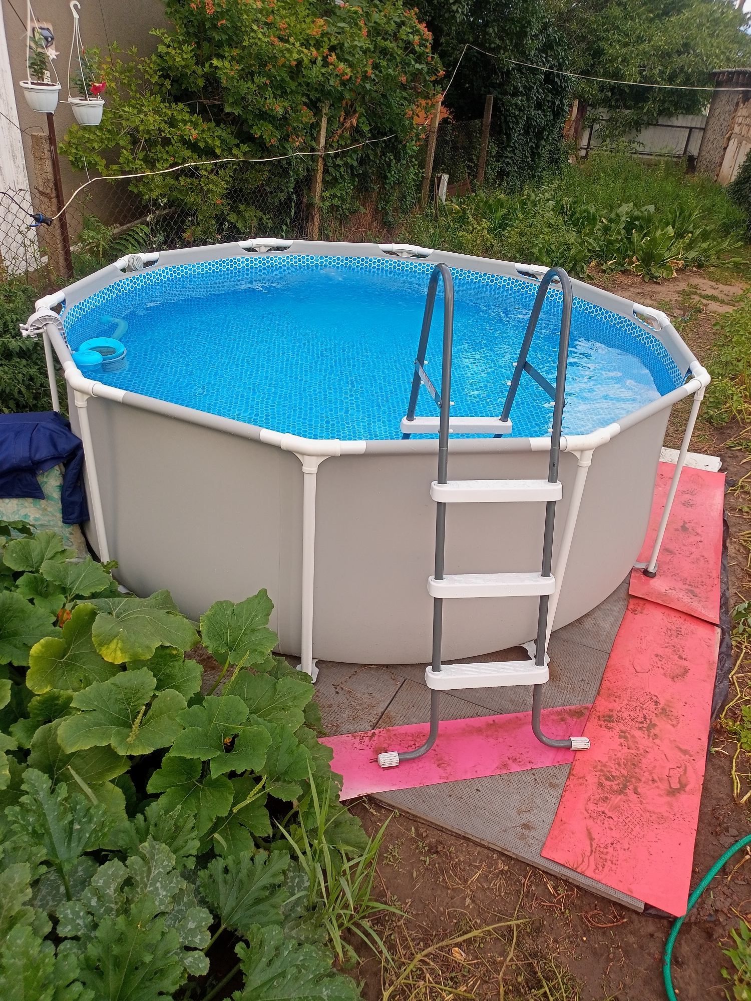 An above-ground swimming pool is situated in a backyard setting. The pool is circular with a grey exterior and a blue, patterned interior. A silver ladder with white steps is attached to the pool's edge and extends into the water. A blue inflatable ring floats on the surface of the water. The pool is surrounded by lush green vegetation, including large leafy plants in the foreground. In the background, there is a chain-link fence and trees. The ground around the pool is a mix of dirt, grass, and some pink matting. The image appears to have been taken on a cloudy day. The specific location of Salhany, Ukraine, is not ascertainable from the visual evidence in the image.