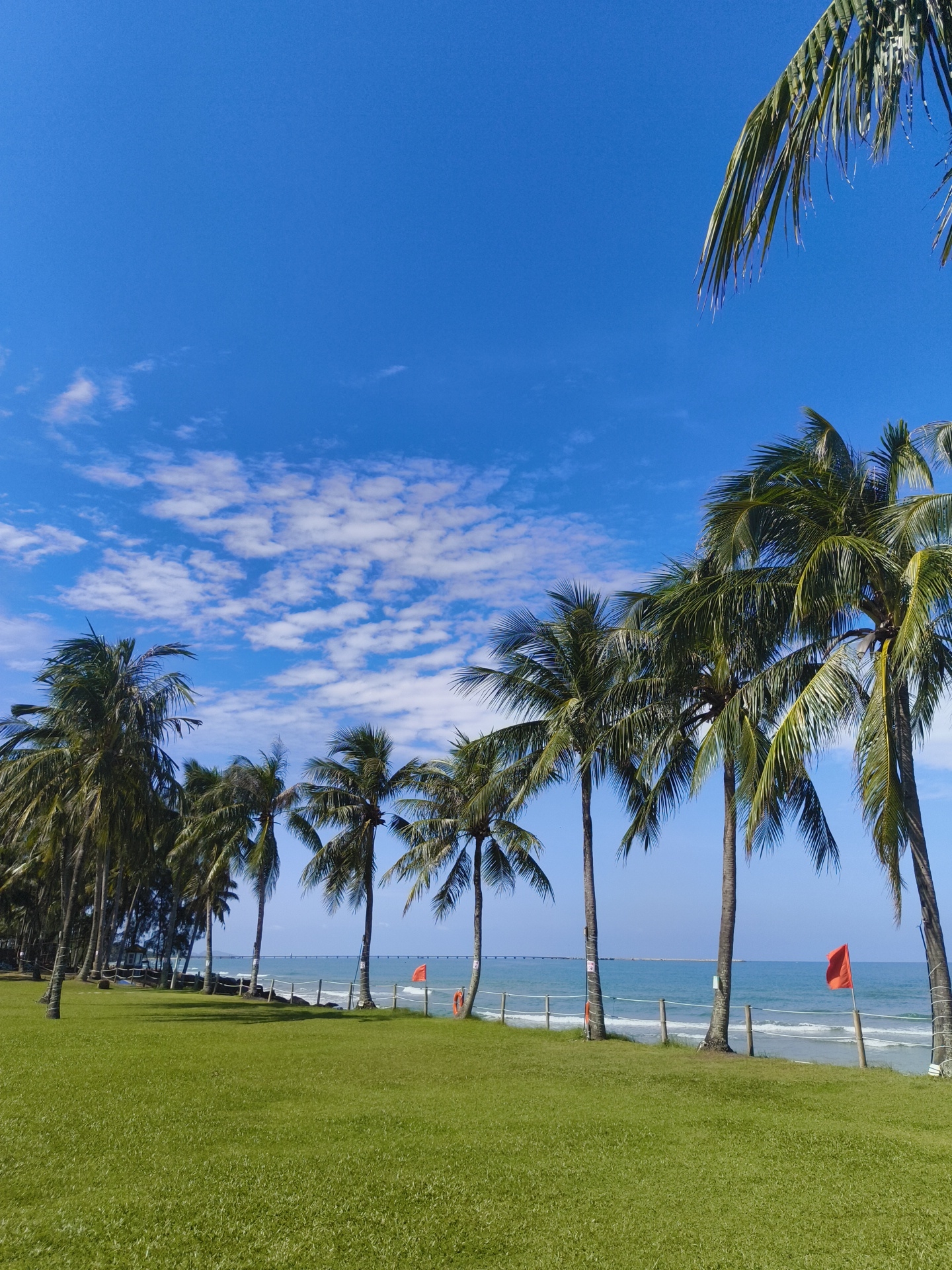 The image depicts a scenic coastal view in Phú Quốc, Vietnam, characterized by a vibrant blue sky dotted with scattered white clouds. A line of lush green palm trees stretches horizontally across the middle ground, their fronds silhouetted against the sky. Beyond the trees, the tranquil blue ocean meets a distant horizon, with a pier or jetty visible in the far distance. The foreground is dominated by a neatly manicured, bright green lawn. Orange flags are strategically placed along a white rope barrier separating the lawn from the beach. A red life preserver ring is attached to one of the palm trees near the water's edge. The overall impression is one of a serene and idyllic tropical location.