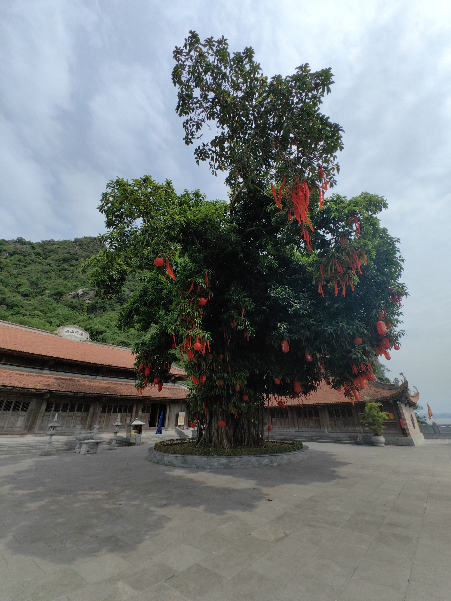 The image shows a courtyard scene in Hong Gai Ward, Vietnam. A large, mature tree is the central focus, decorated with numerous red lanterns and ribbons. The tree is surrounded by a raised, circular stone border. The courtyard is paved with light grey stone tiles.
Behind the tree, a traditional East Asian building with a red tiled roof and grey wooden walls extends across the frame. A mountain covered in green vegetation rises in the background. The sky is overcast with pale blue and white clouds. A few stone ornaments and lanterns are visible in the foreground of the courtyard. No people are visible in the scene.