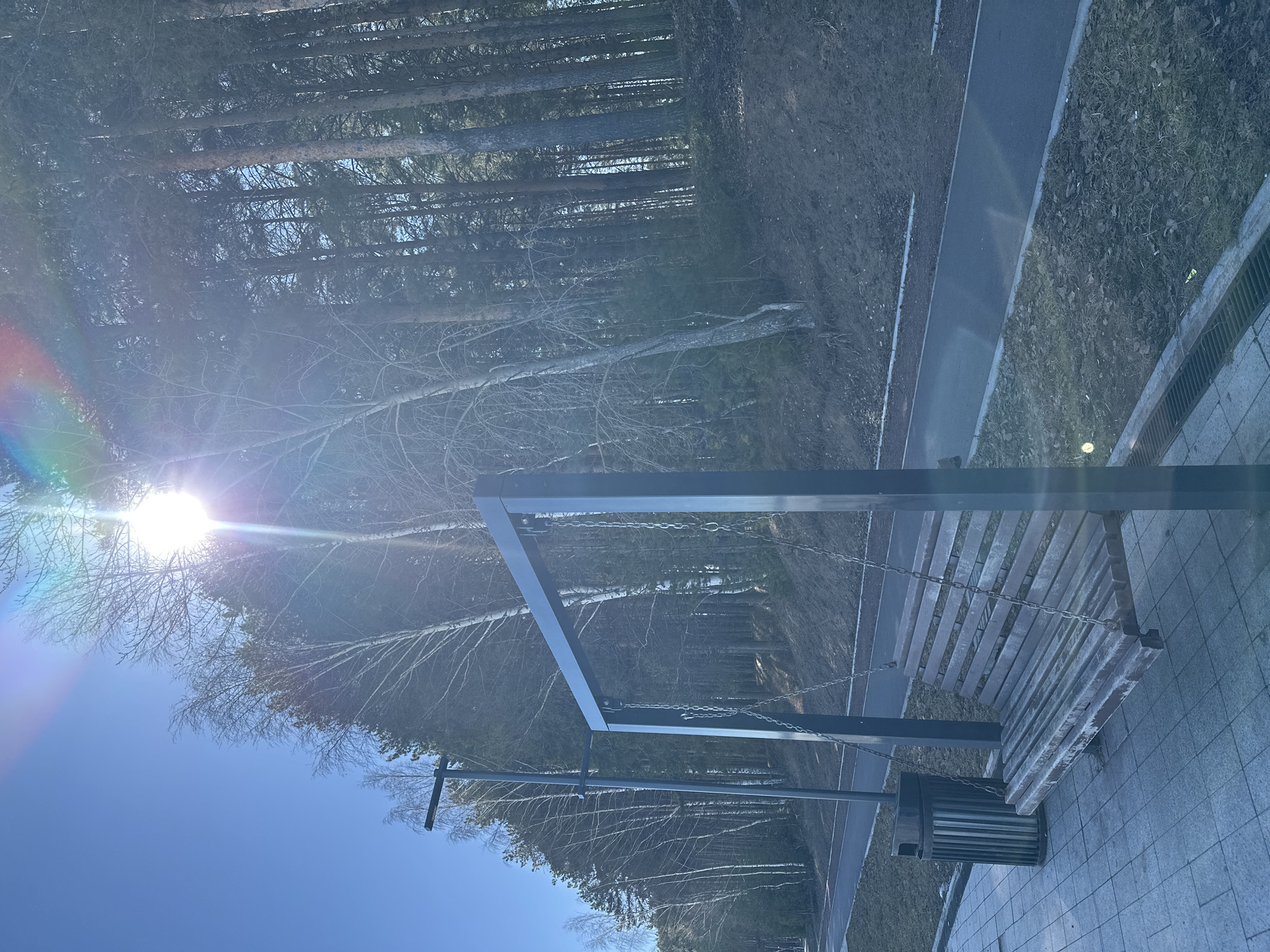 A brightly lit, vertically oriented photograph captures a scene in what appears to be a park in Chaikovsky, Russia. The sky is clear and blue, with the sun positioned at the top left corner, causing a lens flare effect. The sun illuminates a wooded area of trees in the background.
In the foreground, there is a modern swing bench constructed of dark metal and light-colored wood. Chains connect the bench to the metal frame, indicating it is a swinging structure. The bench is situated on a paved area of light gray tiles.
To the right of the bench, there is a metal waste receptacle. Adjacent to the tiled area, there is a narrow, dark asphalt path that runs parallel to a grassy area containing dormant vegetation and tree foliage. The photograph is taken in a location that is seemingly well-maintained and incorporated into a park setting.