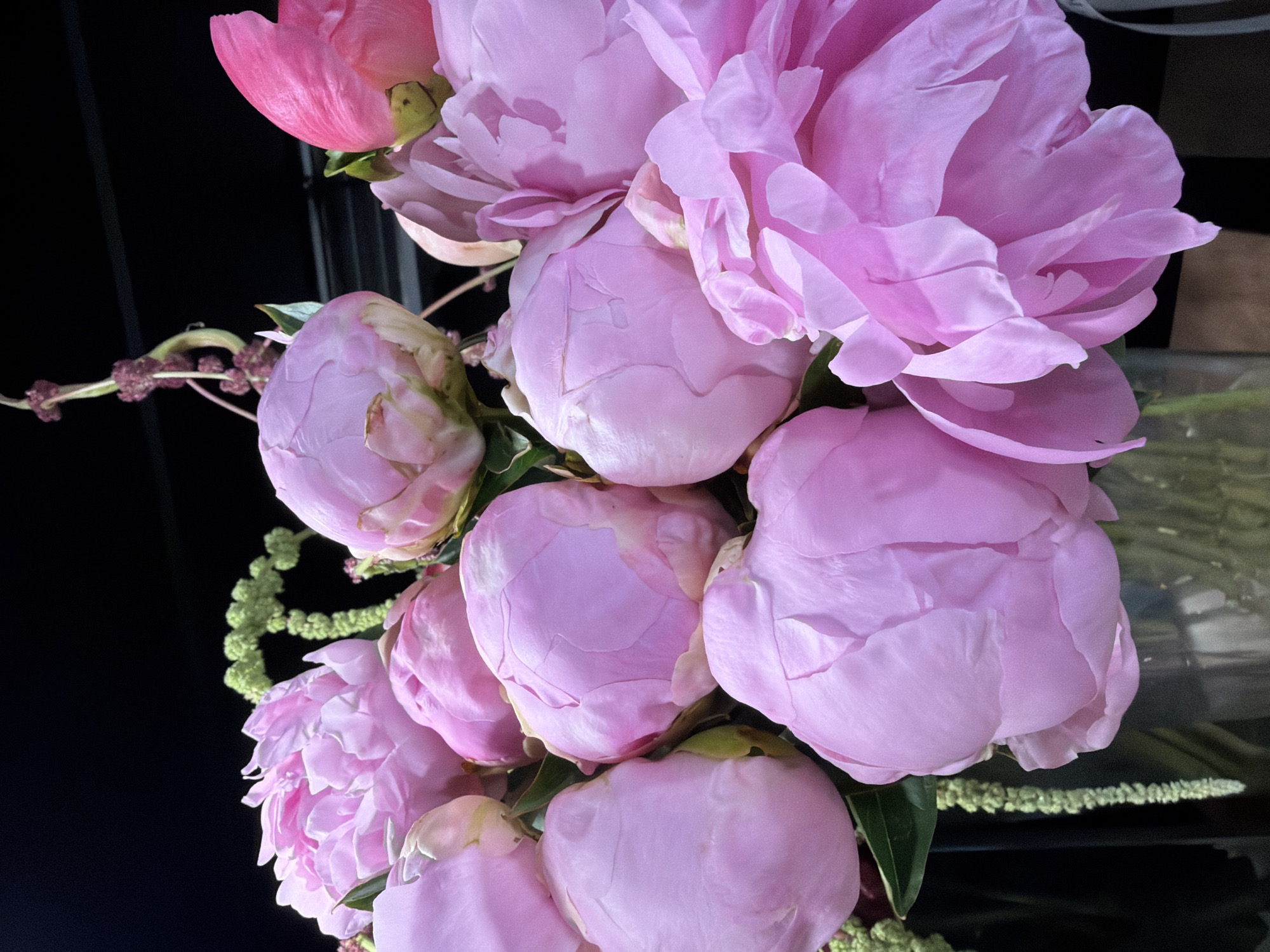 A close-up, vertical shot showcases a bouquet of light pink peonies against a dark background. The flowers are the primary subjects, with their large, layered petals dominating the frame. Some of the peonies are fully bloomed, displaying their delicate texture and soft color, while others are in various stages of bud, their rounded forms hinting at the fullness to come.
Green foliage is visible interspersed with the flowers, adding depth and contrast to the composition. A wispy, pale green accent, possibly a type of grass or filler flower, winds its way through the arrangement, adding an organic, ethereal touch. The lighting appears to be artificial, creating soft highlights and shadows that emphasize the curves and folds of the petals.
There are no people or specific activities depicted. The focus is entirely on the natural beauty of the peonies and their arrangement. The dark background suggests an indoor setting, possibly a floral shop or a dimly lit room, which allows the vibrant pink of the flowers to stand out. No text is visible in the image. The overall mood is one of natural elegance and quiet beauty.