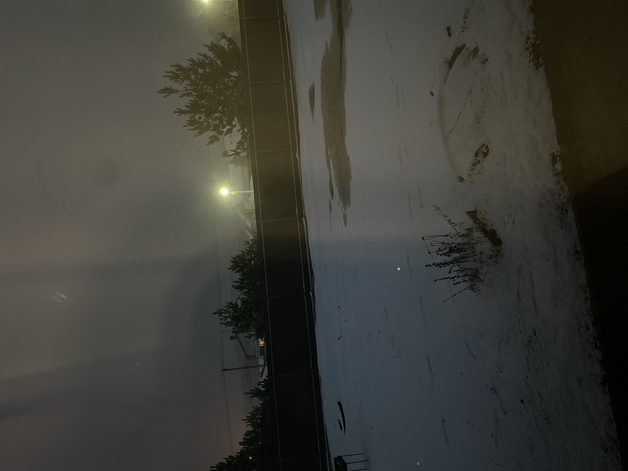 The image depicts an outdoor scene at night, possibly in a snowy area. A fence runs horizontally across the middle, dividing a darker, likely wooded, area with trees and streetlights on the left from a snow-covered surface on the right. The snow shows signs of being disturbed, with indistinct markings. The scene is dimly lit, suggesting a winter night. The location in the city of Chaikovsky, Russia cannot be determined from the given image.
