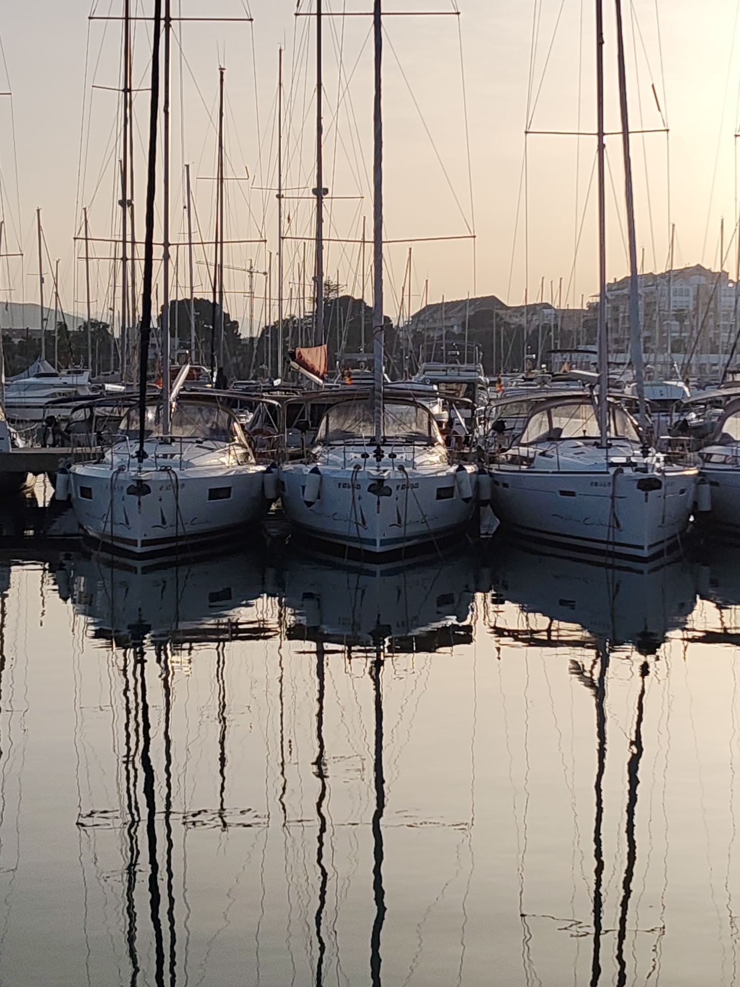 The image depicts a marina in Dénia, Spain at sunset or sunrise. Several white sailboats are docked closely together, with their masts extending upwards into the sky. The water reflects the boats and masts, creating a mirrored image. In the background, buildings and trees can be seen dimly through the masts. The overall scene is calm, with a soft, warm light.