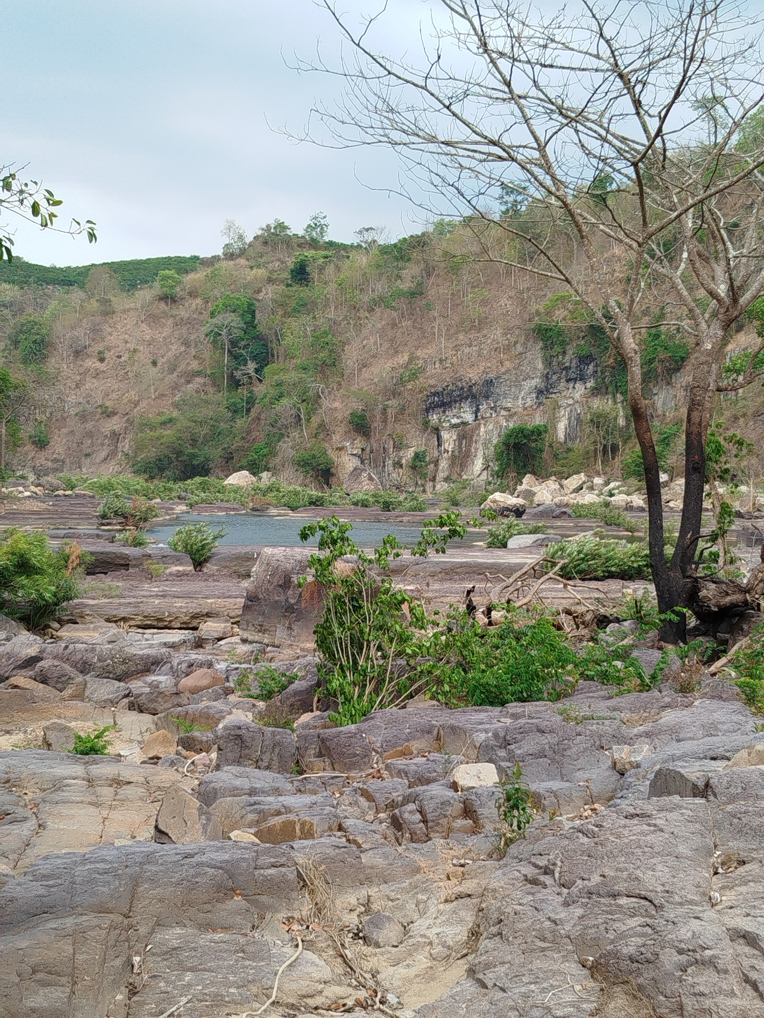 The image depicts a rocky river landscape in Tân Phú, Vietnam. The foreground is dominated by gray and tan rocks, scattered with sparse vegetation. In the midground, a stretch of water flows between the rocks, with more dense greenery along the banks. A tree with bare branches stands on the right side of the image. The background features a hillside covered in trees and a cliff face, with the sky visible above.