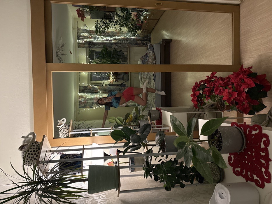 A mirror shows a room interior with a bed against a wall adorned with fairy lights and patterned curtains. A woman in a sports bra and shorts is posing in a handstand in front of the mirror. In the foreground, a shelving unit holds an array of potted plants of different sizes and species, with a red poinsettia on the right. Decorative items, including a spotted elephant figurine, also sit on the shelves.