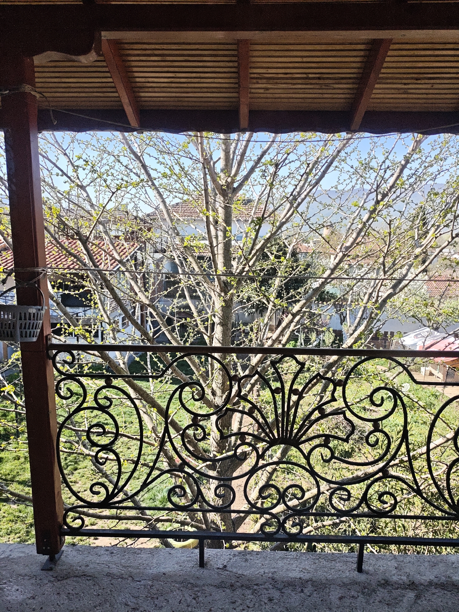 A view from a covered balcony looking out onto a tree and neighborhood. The balcony has a brown wooden roof and supporting posts. A wrought iron railing with elaborate swirls and curves fronts the balcony. Through the railing, a tall tree with bare branches and some new green leaves fills the center of the frame. Behind the tree are houses with red-tiled roofs. The grass is green. The sky is light blue. The location is in the city of Unknown, Unknown.
