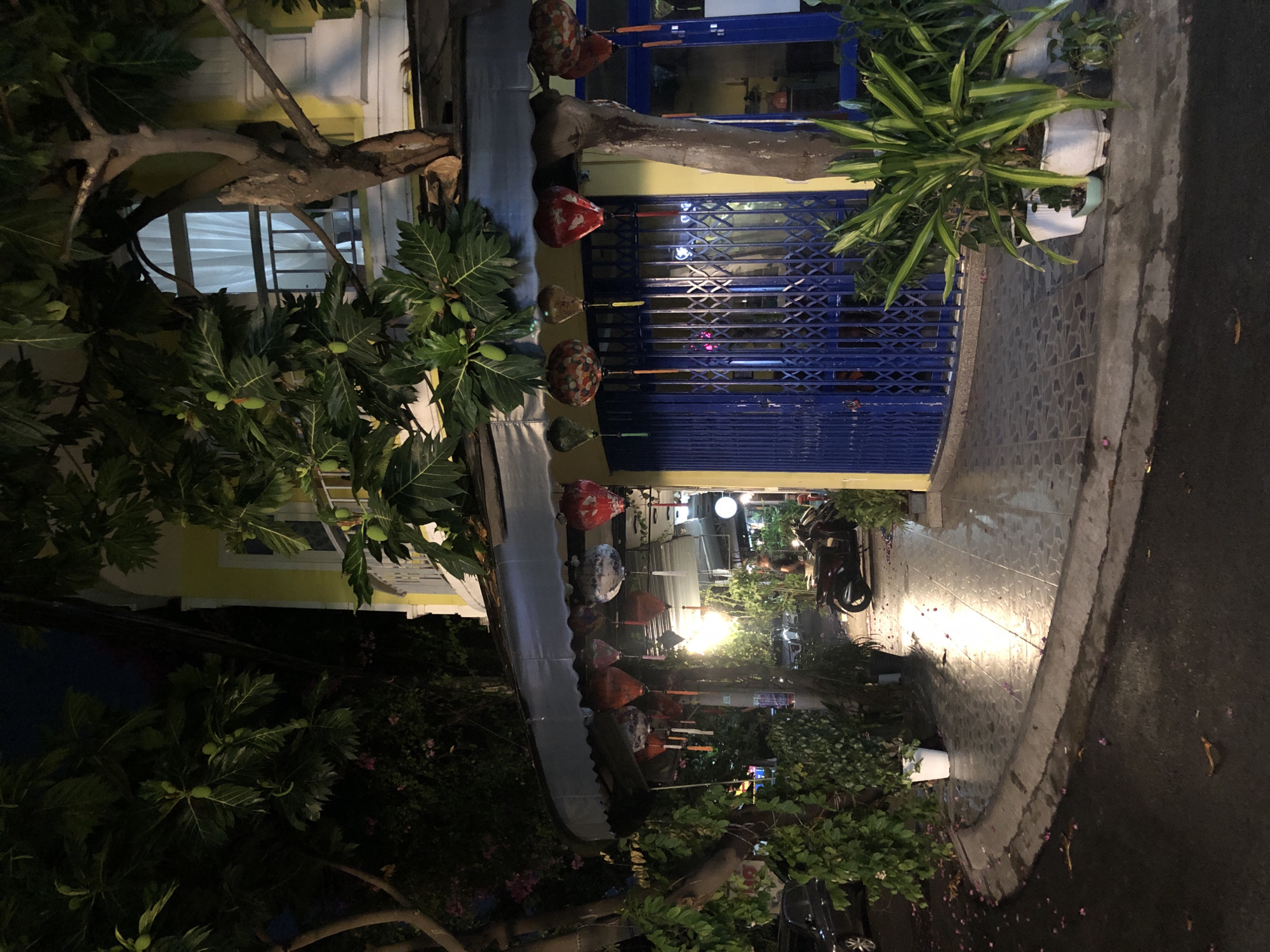 The image depicts a nighttime scene on a street in Đà Nẵng, Vietnam. A building with a yellow facade and arched windows is visible, adorned with decorative lanterns hanging from an awning. The awning covers a walkway and a blue metal gate. Various potted plants are placed along the walkway, and a motorcycle is parked nearby. The street and sidewalk are wet, suggesting recent rain. Fallen pink petals are scattered on the ground. Trees with large leaves and fruits are present, contributing to the tropical ambiance. The overall impression is of a shop or restaurant entrance at night.