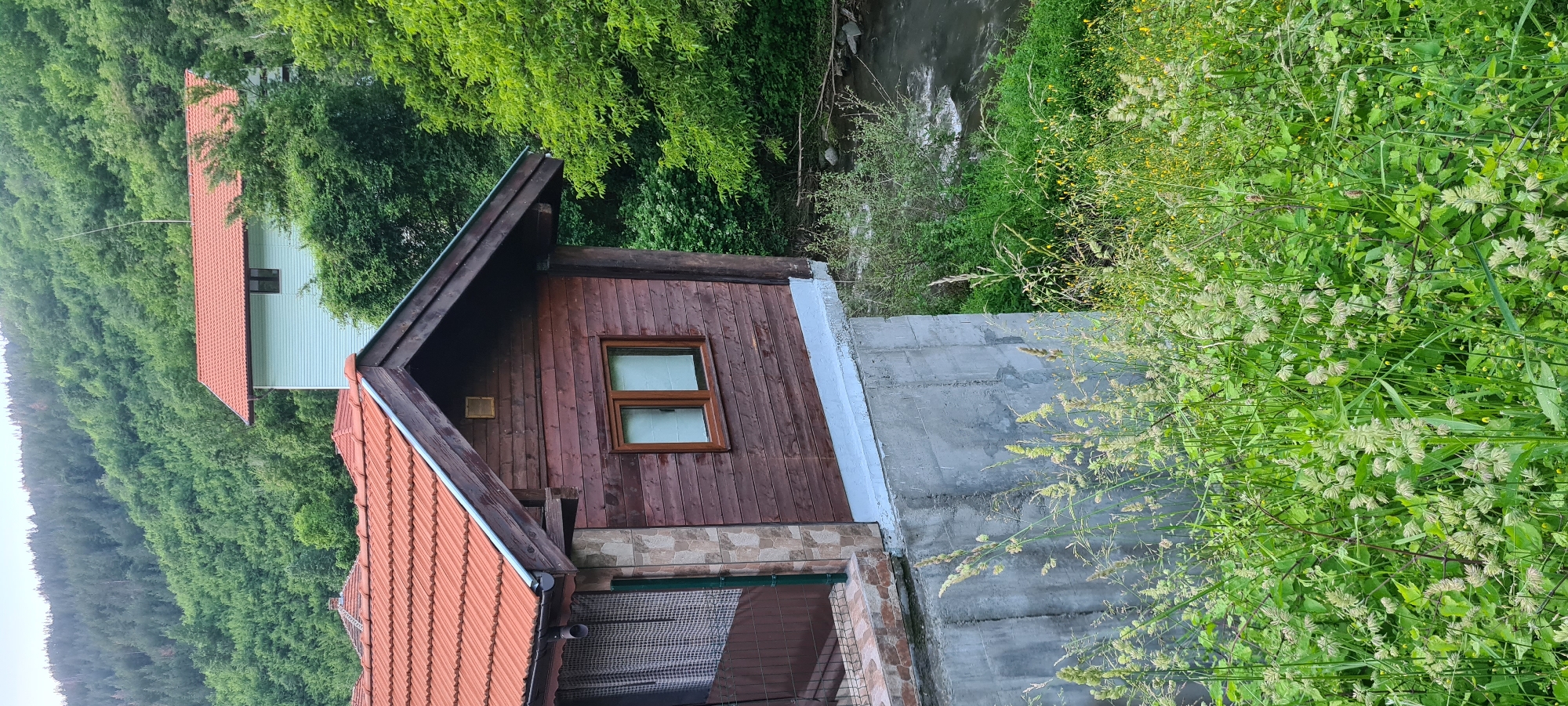 This vertical photograph captures a rural scene in Lopian, Bulgaria, showcasing two houses integrated into a densely vegetated, mountainous environment with a flowing river.
In the immediate foreground, a dense thicket of tall green grasses and various wildflowers, including some with pale seed heads and small yellow blossoms, covers the lower section of the image. Behind this flora, a raw, light grey concrete retaining wall with visible formwork lines supports the main structure. To the right of the concrete wall, a narrow river or stream flows with visible surface ripples, its banks heavily covered in green vegetation.
The central subject is a two-story house constructed primarily of dark brown horizontal wooden planks. It features a prominent orange-red tiled gable roof with overhanging eaves and a metal gutter system. A brown-framed double window, appearing opaque or curtained, is centered on the visible wooden facade. A light blue-grey band delineates the transition from the wooden siding to the concrete foundation. The left side of this house shows a section clad with irregular light brown stone and a partial view of a balcony or porch enclosed by a metal railing with green posts, behind which a patterned curtain is visible. A small, square vent or opening is situated near the apex of the wooden gable.
In the background, further up the verdant hillside, a second house is visible. This structure has light blue horizontal siding and an orange-red tiled gable roof. A slender white pole, likely an antenna or lightning rod, extends vertically from its roof. One window is discernible on its visible side. The entire backdrop consists of a steep hillside thickly covered with green deciduous and coniferous trees under a uniformly light, possibly overcast, sky. No individuals or overt actions are depicted.