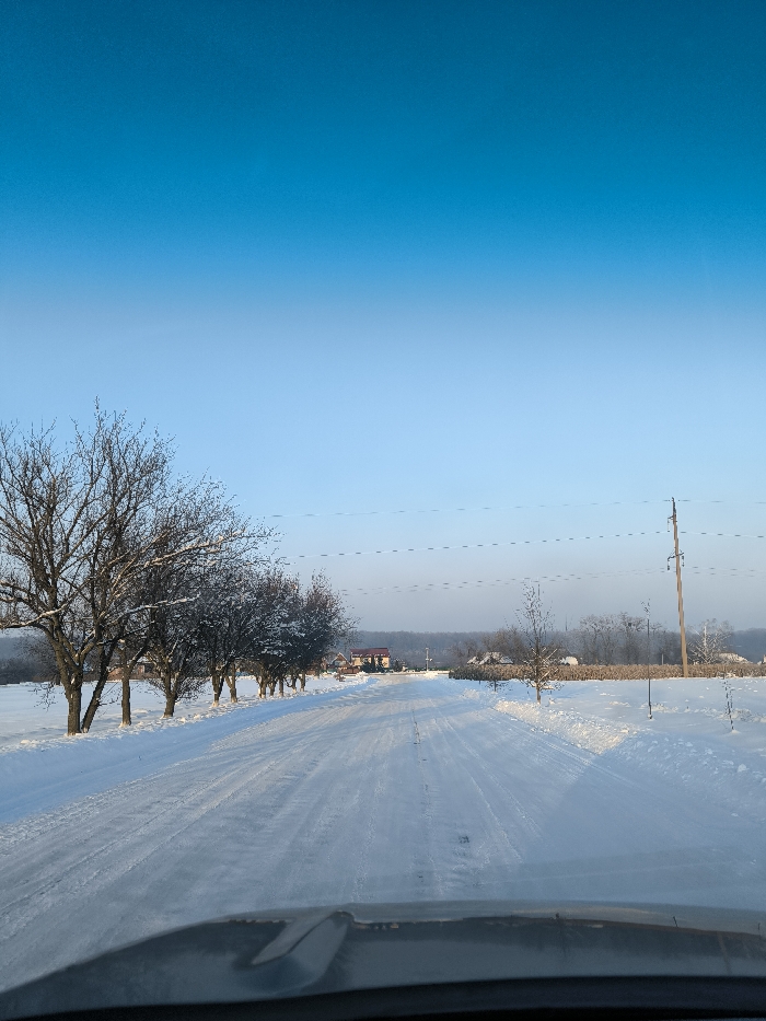 This image depicts a serene winter landscape observed from inside a vehicle, likely in Chervone, Ukraine. A snow-covered road, appearing to be a local or secondary route, stretches into the distance, bearing visible tire tracks from previous traffic.
To the left of the road, a row of bare deciduous trees, their branches lightly dusted with snow, lines the roadside, bordering a wide, snow-covered field. Further into the mid-ground, a few houses or buildings with red roofs are visible nestled amongst the trees, suggesting a small rural settlement. On the right, more snow-laden fields extend outwards, punctuated by sparse trees and a tall utility pole with faint power lines traversing the horizon.
The sky is a prominent feature, showcasing a clear gradient of blue, transitioning from a deeper tone at the top to a lighter, almost pale blue near the horizon, indicative of a bright, cold winter day with no clouds. The lighting suggests either early morning or late afternoon, with the sun casting soft, long shadows on the pristine snow. The bottom edge of the image shows a portion of the vehicle's dashboard or hood, confirming the perspective. The scene conveys a sense of peaceful quietude in a snow-blanketed rural setting. No visible text is present in the image.