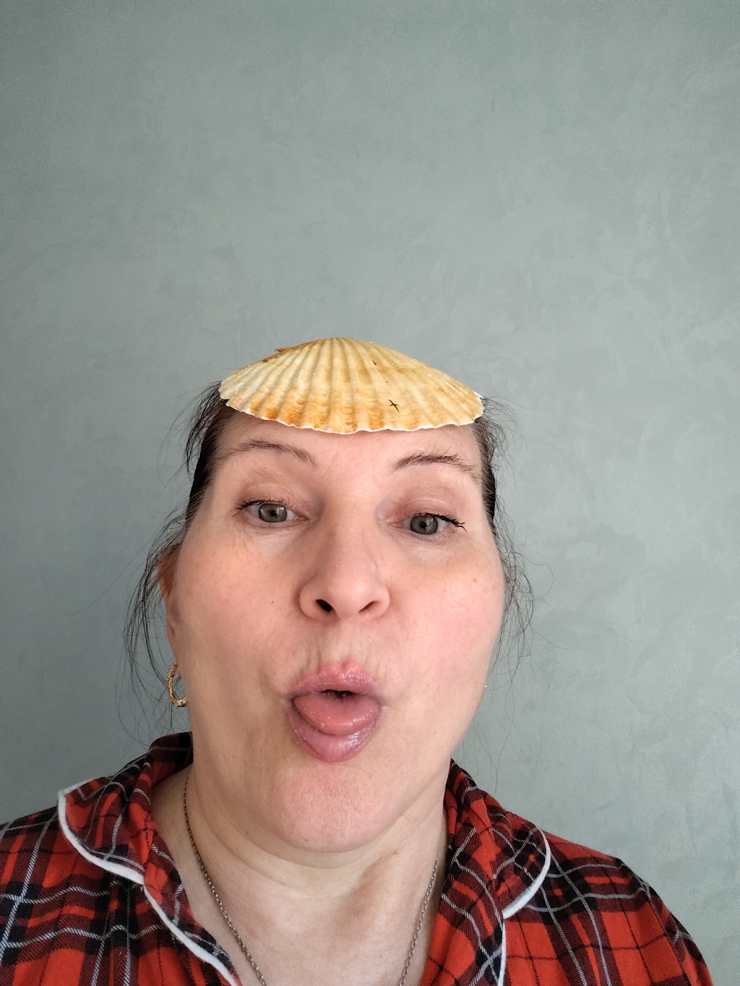 A head-and-shoulders portrait shows a woman balancing a large, ribbed scallop shell on her forehead. She is looking directly at the camera with a playful expression, her mouth puckered and tongue slightly extended. The woman has fair skin, dark hair pulled back, and light brown or hazel eyes. She wears a red, black, and white plaid shirt with a white collar trim, and a thin silver-colored necklace with a small pendant. A golden hoop earring is visible in her right ear. The background is a plain, light blue-grey wall with a subtle textured finish, indicating an indoor setting. The lighting is soft and even, suggesting daytime. No text is visible in the image. The overall mood is humorous and lighthearted. The context suggests the photo is from Neftekamsk, Russia.