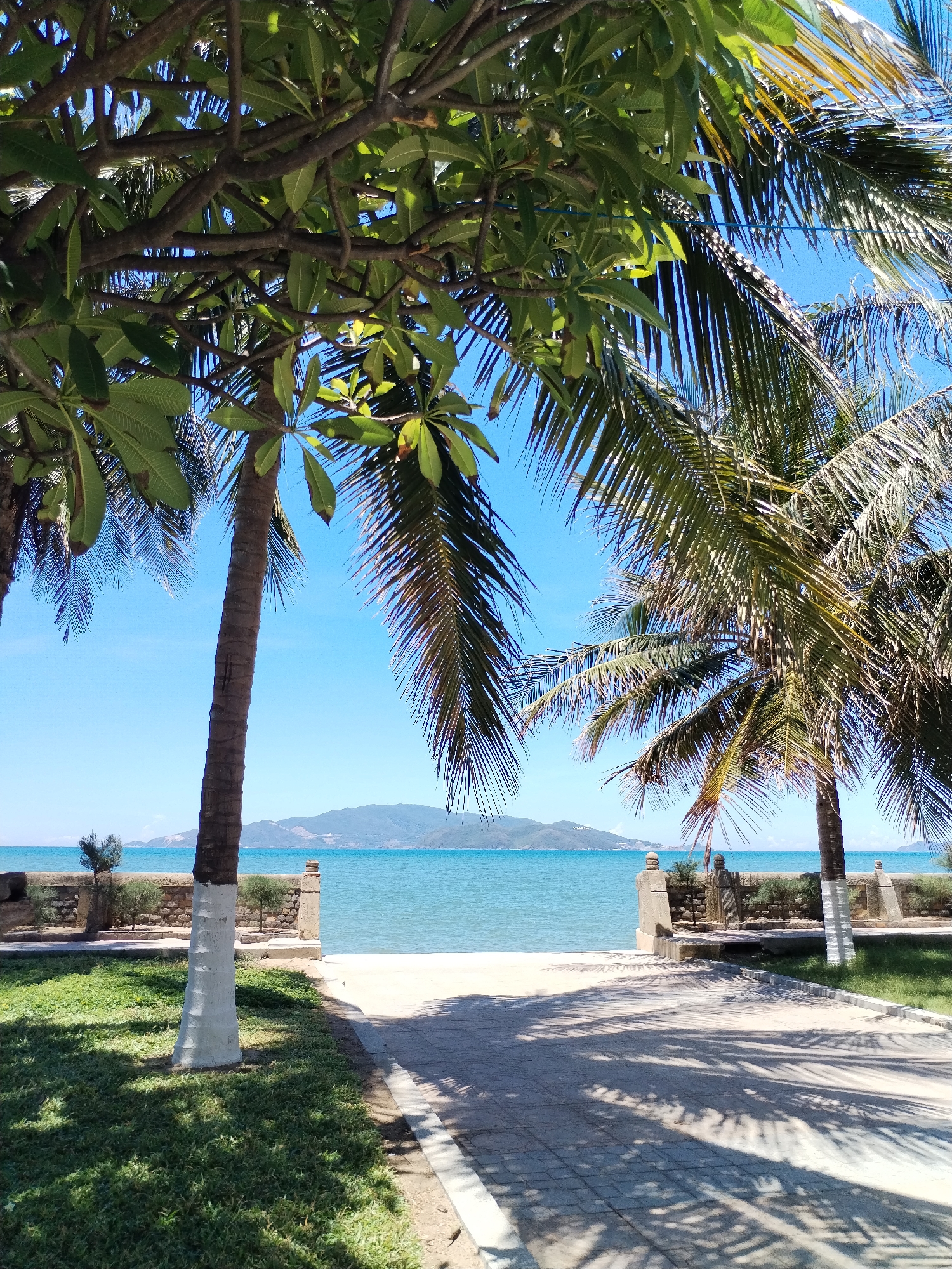 The image depicts a coastal scene in Nha Trang Ward, Vietnam. In the foreground is a paved pathway leading towards a sandy beach and the sea. The pathway is flanked by grassy areas and short stone walls with decorative posts. The trunks of several palm trees, partially painted white at the base, are visible on either side of the pathway, their fronds framing the view.
In the background, across a body of water, is a mountainous landmass, suggesting an island or distant coastline. The sky is clear and blue, indicating a sunny day. The presence of palm trees and the sea contribute to a tropical, beach-like atmosphere.