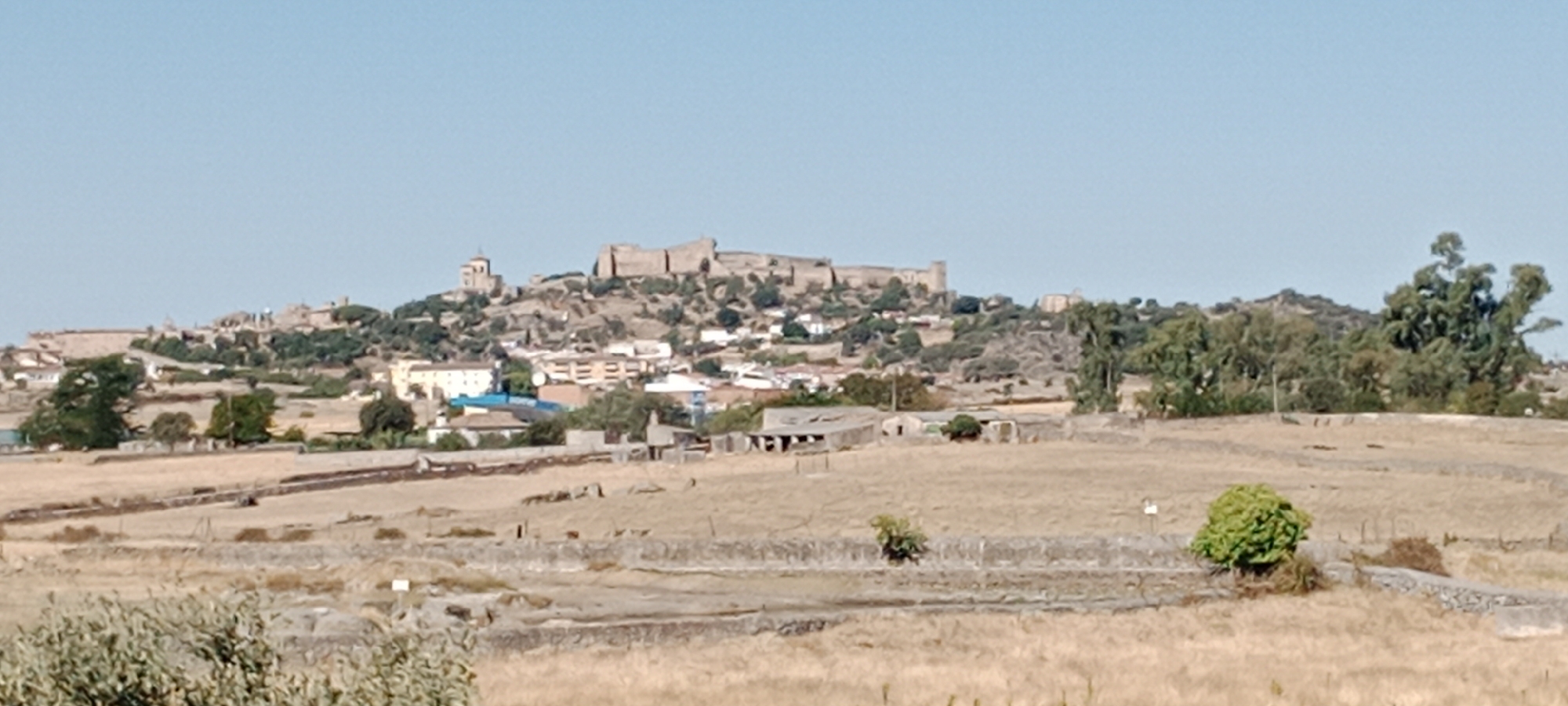 The image shows a wide view of the city of Trujillo, Spain, under a clear blue sky. In the background, a historic castle complex, likely Trujillo Castle, is situated atop a hill. The castle features stone walls and structures, appearing weathered and ancient. Below the castle, the city unfolds with numerous buildings, including houses, apartments, and some industrial-looking structures with corrugated roofs. Several trees are scattered throughout the city and on the surrounding hills.
The foreground of the image consists of a dry, grassy field with some low stone walls and scattered bushes and trees. The overall landscape suggests a rural or semi-rural environment surrounding the historic city. The lighting indicates it is daytime, with the sun casting shadows. There are no visible people or animals in the frame. The perspective is from a slightly elevated position, looking across the field towards the city and the castle. The colors are muted, dominated by the earthy tones of the dry landscape and the neutral colors of the buildings.