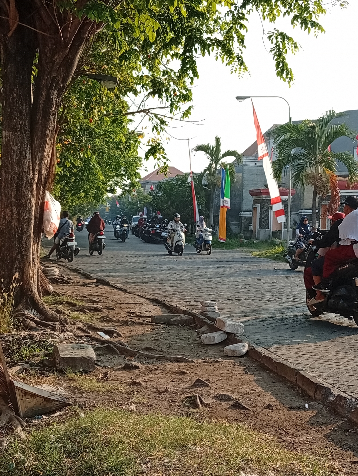 This is a scene captured at street level in Bligo, Indonesia, during daylight. The foreground features the gnarled roots of a large tree, with exposed soil and patches of dry grass. A dusty, metallic dustpan and brush are partially visible near the base of the tree.
The street itself is paved with interlocking stones and lined with a curb. A procession of motorbikes is the dominant element, moving along the road. Several individuals are riding the motorbikes, some with passengers. The riders are varied in age and gender, with some wearing helmets and others not. Clothing includes casual wear, with one person wearing a red headscarf and another a dark hooded garment.
Decorative flags are prominently displayed along the street, attached to poles. These flags are predominantly red and white, suggesting a national or celebratory theme. Palm trees are also visible, characteristic of the tropical climate. Buildings with traditional architecture, featuring stone facades and tiled roofs, line the street in the background. The lighting suggests it might be late afternoon, with sunlight casting shadows. The overall atmosphere appears to be that of a local event or a daily commute in a community setting.