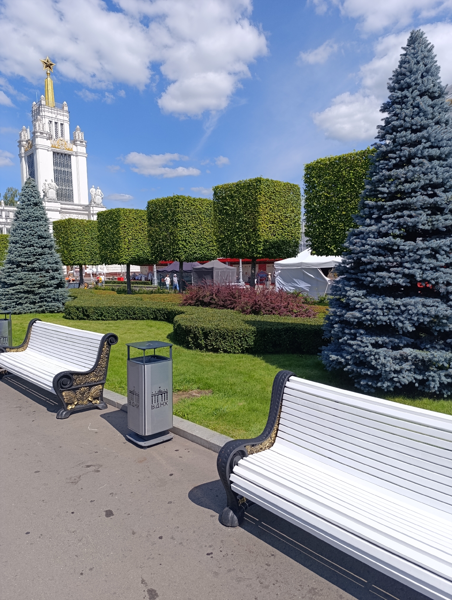 The image shows an outdoor scene on a sunny day with a blue sky and white clouds. In the background, a white building with a golden star at its peak stands tall, resembling an architectural landmark. In front of the building, there are several rows of neatly trimmed green trees, some of which are shaped into cubes. To the right, a large, blue-green fir tree is prominently featured. In the foreground, two white park benches with ornate black and gold detailing are visible, positioned on a paved walkway. Between the benches, a modern silver trash can with Cyrillic lettering and a building icon is placed. The ground is covered with green grass, and there are some bushes with dark red leaves. A few tents are set up in the middle ground, and some people, appearing as small figures, are visible walking around the tents and in the distance. The overall impression is that of a park or public space, likely in Moscow, Russia, given the architectural style and the Cyrillic text on the trash can, which appears to say "ВДНХ".