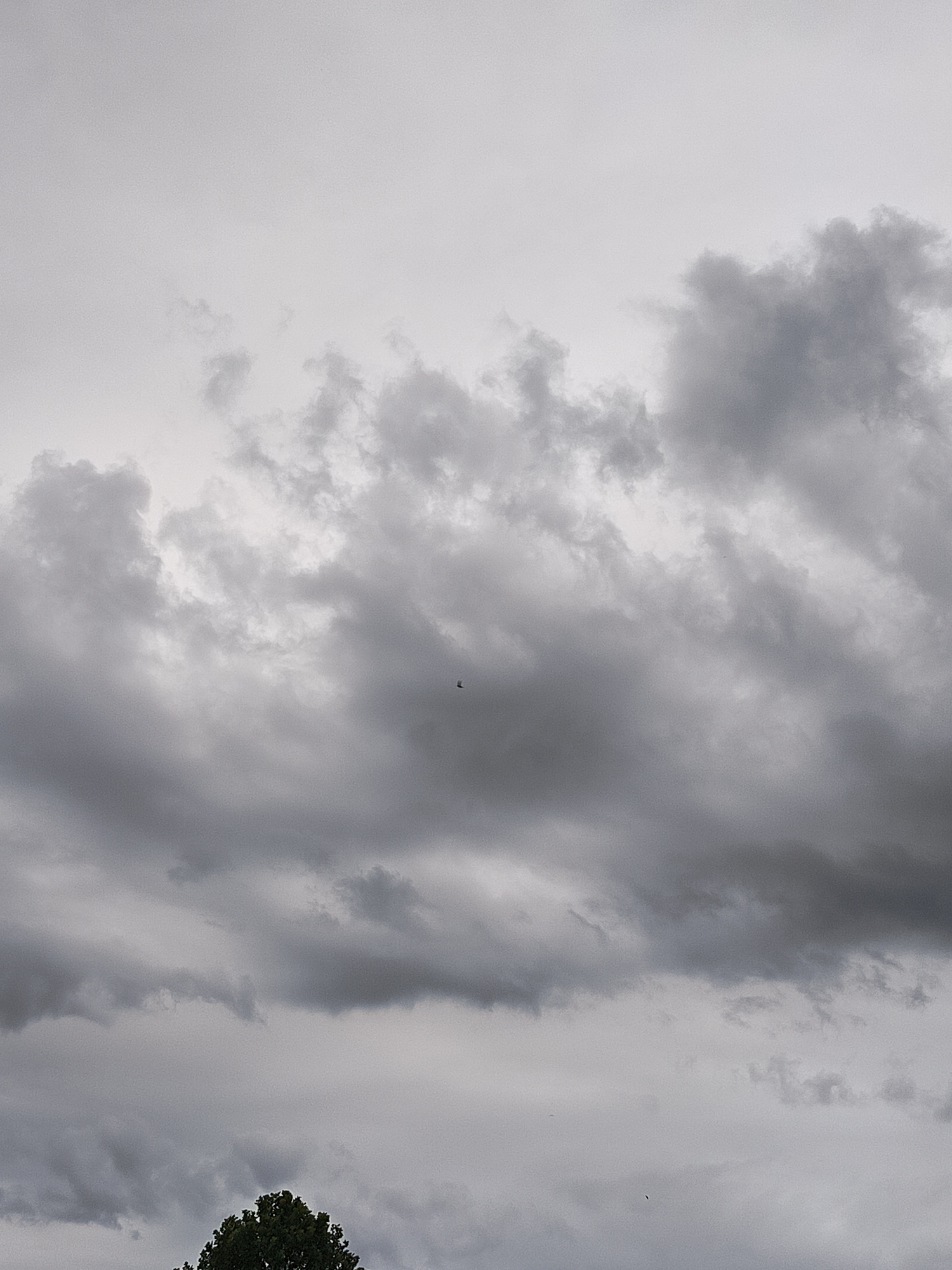 The image shows a cloudy sky above a treeline. The clouds are dark and ominous, suggesting that a storm may be brewing. There is a small object, possibly a bird or a drone, visible in the sky. The time of day is difficult to determine, but the overcast conditions suggest it may be later in the day or that the weather is poor. The location is identified as Kutná Hora, Czechia, but there are no specific visual cues in the image to confirm this. The overall mood of the image is somber and perhaps a little unsettling due to the dark clouds. There is no visible text in the image.