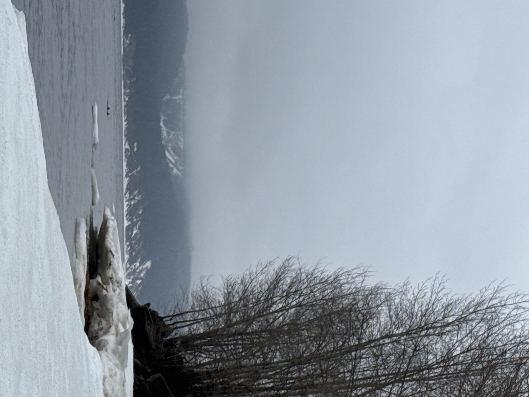 The image shows a winter scene in Chaikovsky, Russia. A snow-covered shoreline is visible on the left, transitioning to dark rocks and bare trees. In the distance, there is a body of water, possibly the Kama River, with some ice formations. Beyond the water, a hazy or foggy mountain range is partially obscured. The sky is overcast and grey. Two dark silhouettes resembling birds are seen over the water.