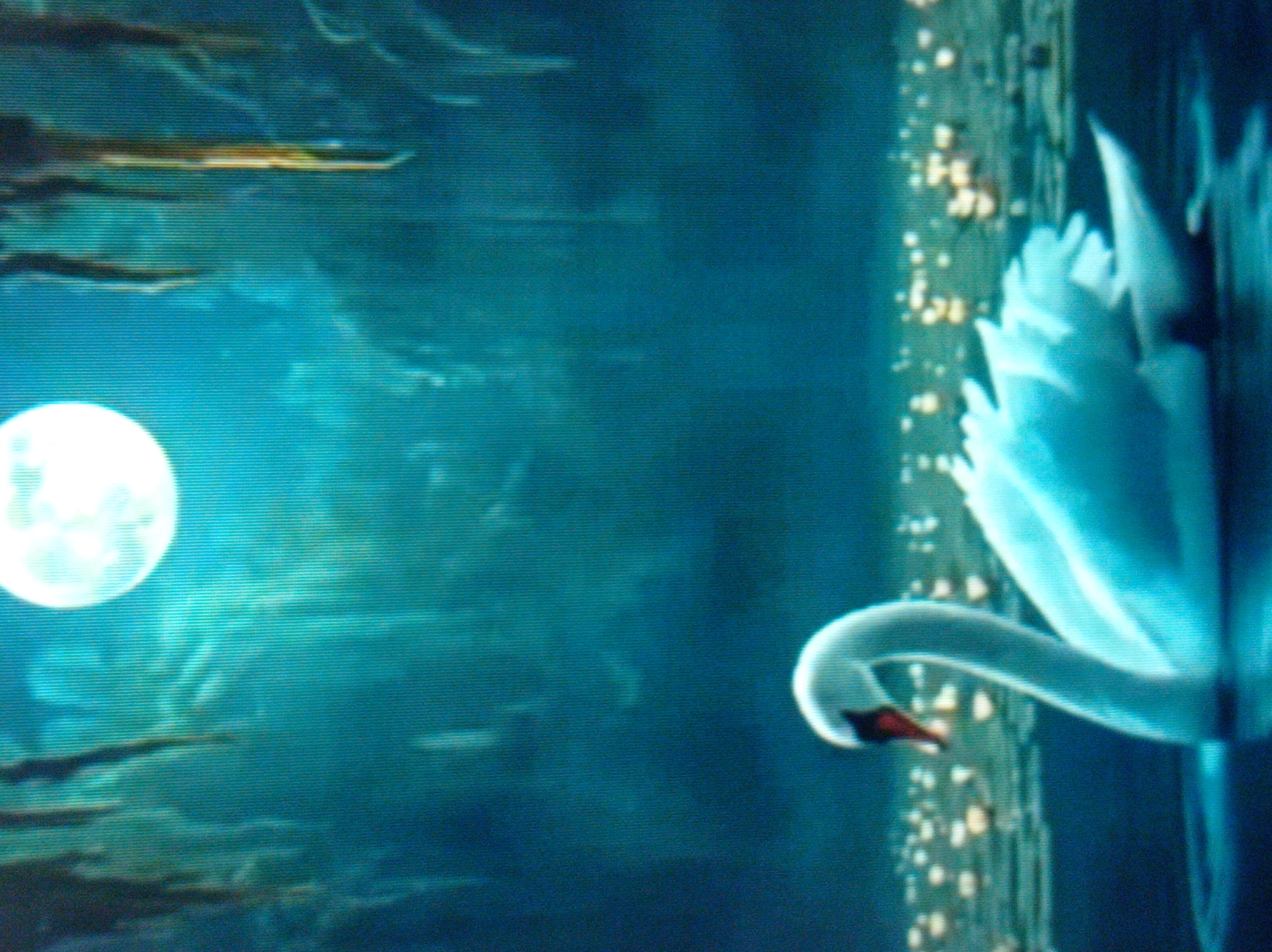 The image depicts a serene scene with a white swan swimming in dark water under a full moon. The background features a dimly lit, ethereal landscape with tall, pointed structures that resemble icicles or stalactites, bathed in a turquoise glow. Numerous small, luminous orbs are scattered across the water's surface, creating a magical ambiance. The overall impression is one of tranquility and mystique. There is no discernible connection to the city of Mukachevo, Ukraine, in this image.