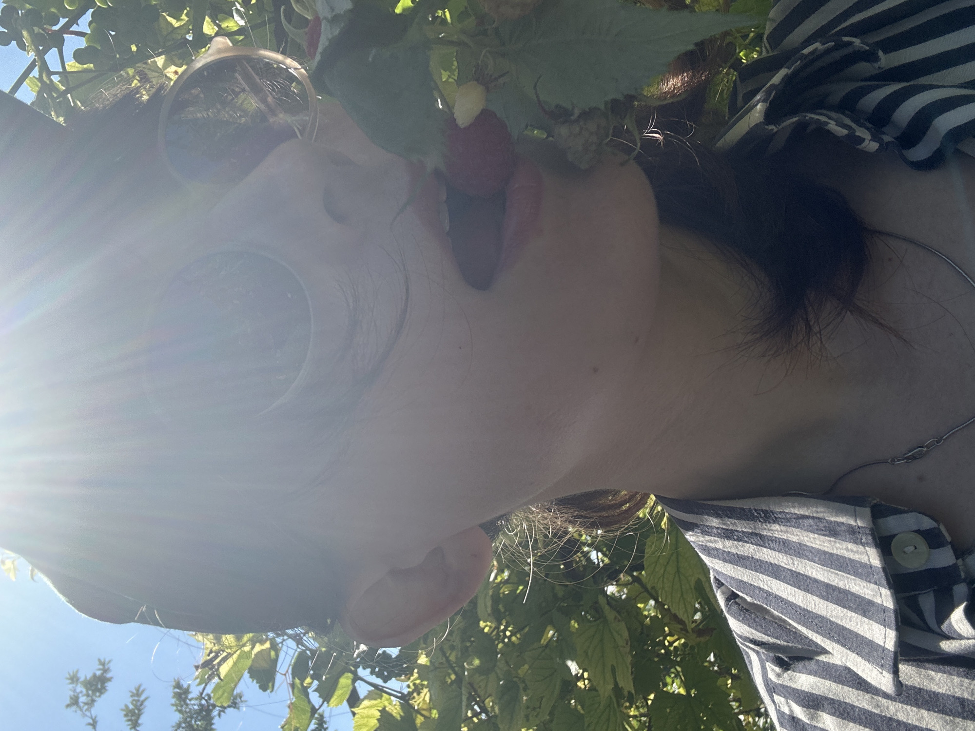 The image shows a close-up, low-angle shot of a person outdoors, surrounded by foliage and under a clear blue sky. The person is wearing round, reflective sunglasses and a striped shirt with a button. A raspberry is being held to their lips, suggesting they are eating or about to eat it. Sunlight streams into the frame, creating lens flares and highlighting the leaves and the person's face. The overall impression is one of enjoying a summer day and fresh fruit. The context provided indicates the location is Zvonarevka, Russia, and given the bright sunlight and lush greenery, it's likely daytime during a warm season.