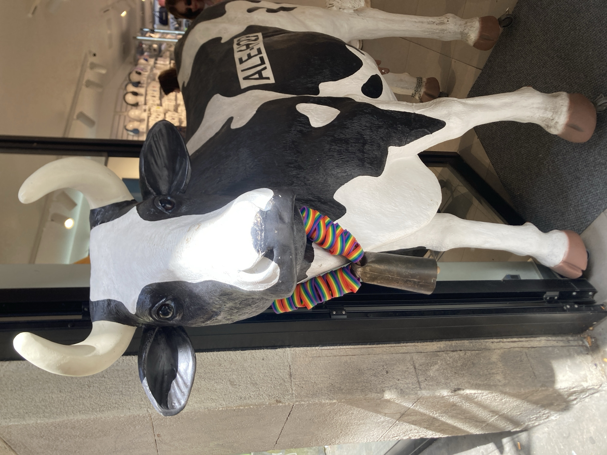 A life-sized statue of a black and white cow, decorated with a rainbow ribbon and a bell around its neck, is positioned in the doorway of a shop. The cow statue has the word "ALEHOP" written in black on its side. The shop appears to be located in Barcelona, Spain, as indicated by the word "ALEHOP," a Catalan phrase meaning "hop" or "jump," commonly associated with the brand Ale-Hop which has numerous stores in Spain. Behind the cow, inside the shop, shelves displaying various items like headphones and accessories are visible. Sunlight casts shadows on the stone facade to the left of the doorway.