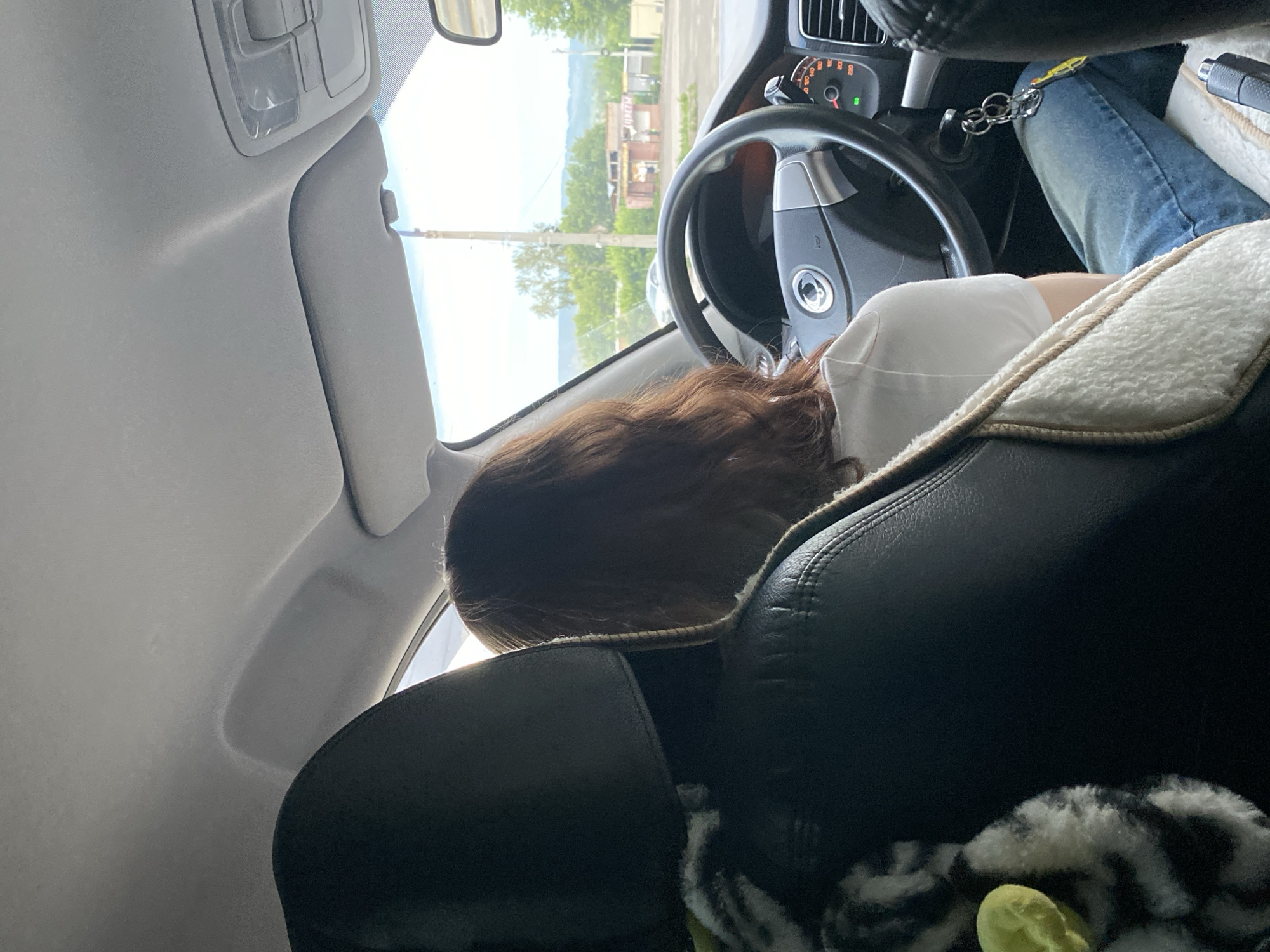 The media file captures an interior view of a car, likely in Votkinsk, Russia. The primary subject is a person, whose head and upper body are visible from behind. They are wearing a white shirt and have long, reddish-brown hair. The person appears to be resting or asleep, with their head turned away from the camera and resting on what seems to be a car seat or a cushion with a fluffy, white lining.
The setting is the driver's side of a vehicle. Visible elements include the steering wheel, dashboard with a speedometer, a car door interior, and the car's ceiling. Outside the car, through the windshield, a bright, overcast sky suggests daytime. The landscape outside consists of trees and buildings, indicating an urban or semi-urban environment. A telephone pole is also prominent in the view.
The activity is passive, with the person seemingly asleep or resting while the car is stationary. The overall mood conveyed is one of repose. There is no visible text in the image. The lighting and visible elements suggest it is daytime, possibly late morning or afternoon, with neutral weather conditions.