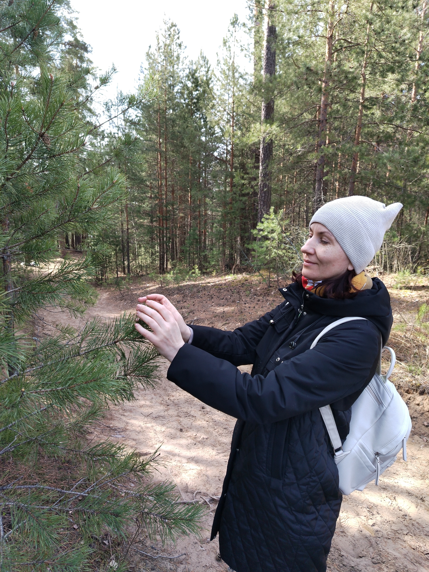 A woman is depicted in a pine forest in Noviy, Russia, gently interacting with nature. She stands in profile, looking towards a low-hanging pine branch, and touches its needles with both hands. The woman wears a light-colored, possibly off-white or light grey, knitted beanie hat and a black quilted winter coat. A multi-colored scarf (red, yellow, orange) peeks from beneath her coat, and she carries a light grey or white backpack on her back.
The setting is a dense pine forest with numerous tall trees and a visible, sandy dirt path that curves into the background. The forest floor is covered with pine needles and dry foliage. The bright sunlight suggests it is daytime, casting light on the scene and the sandy path. The woman's expression appears calm and engaged, reflecting a moment of quiet appreciation for the natural surroundings. No visible text is present in the image.