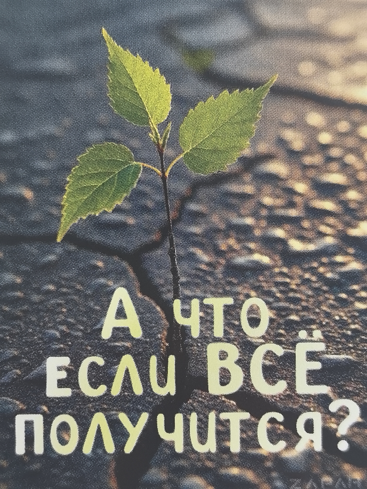 A close-up photograph depicts a young sapling emerging from a crack in concrete. The plant has three vibrant green leaves illuminated by sunlight. The crack in the concrete runs directly beneath the plant. In front of the sapling, text in Russian reads "А ЧТО ЕСЛИ ВСЁ ПОЛУЧИТСЯ?". The background consists of textured and cracked concrete. The colors are muted, with a warm, slightly desaturated tone. There is no evidence to suggest that this image was taken in Perm, Russia.