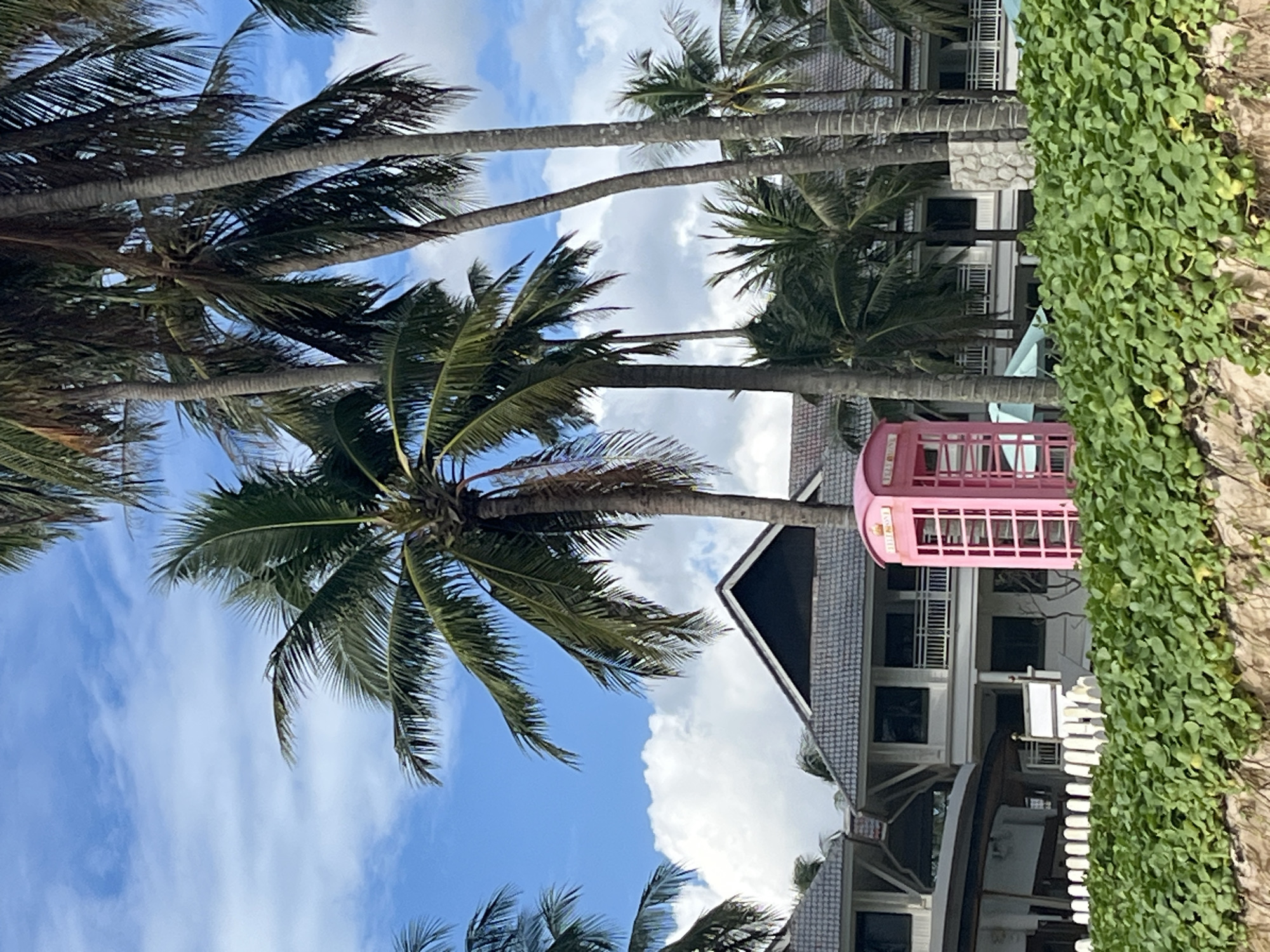 In the city of Choeng Thale, Thailand, a bright pink, traditional British-style telephone booth stands prominently on a sandy beach, partially obscured by lush green ground cover. Behind the booth, a resort-style building with a dark tiled roof and multiple balconies is visible, nestled amongst tall, mature palm trees whose fronds sway gently in the tropical breeze under a partly cloudy blue sky. The foreground is dominated by dense, vibrant green vegetation, suggesting a humid, coastal environment typical of Southeast Asia. The scene is tranquil and picturesque, evoking a sense of tropical relaxation.